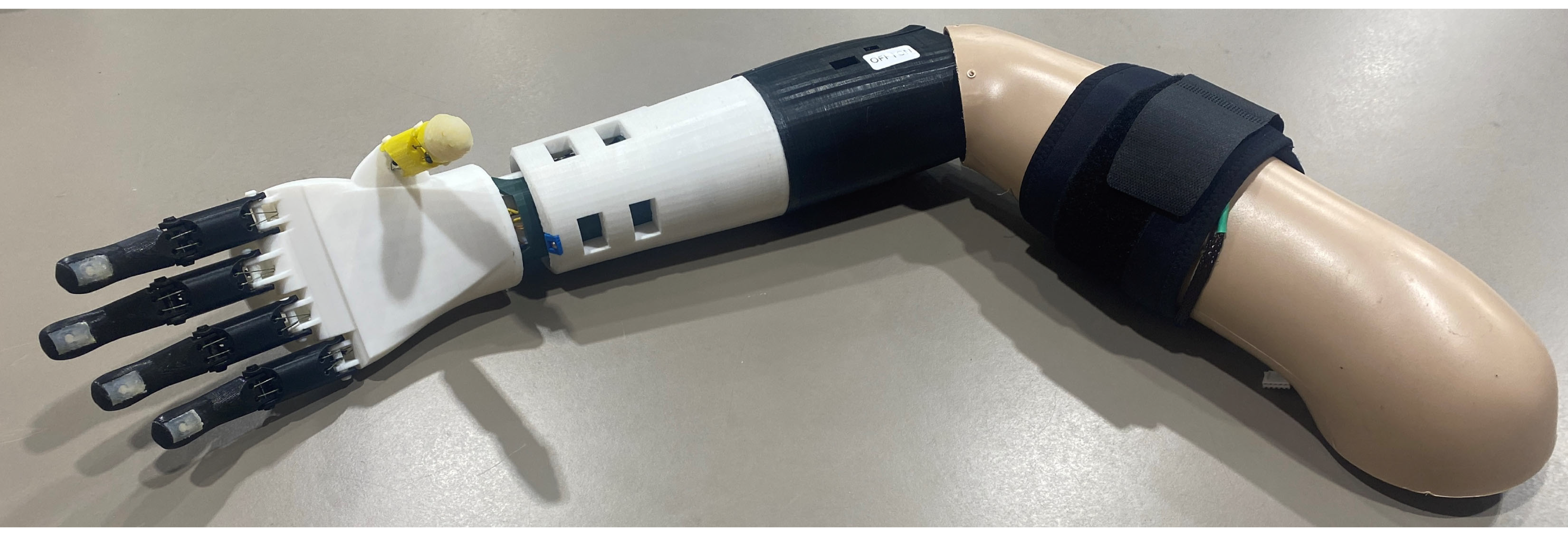 Prosthesis 05 00084 g015 Prosthesis 05 00084 g015