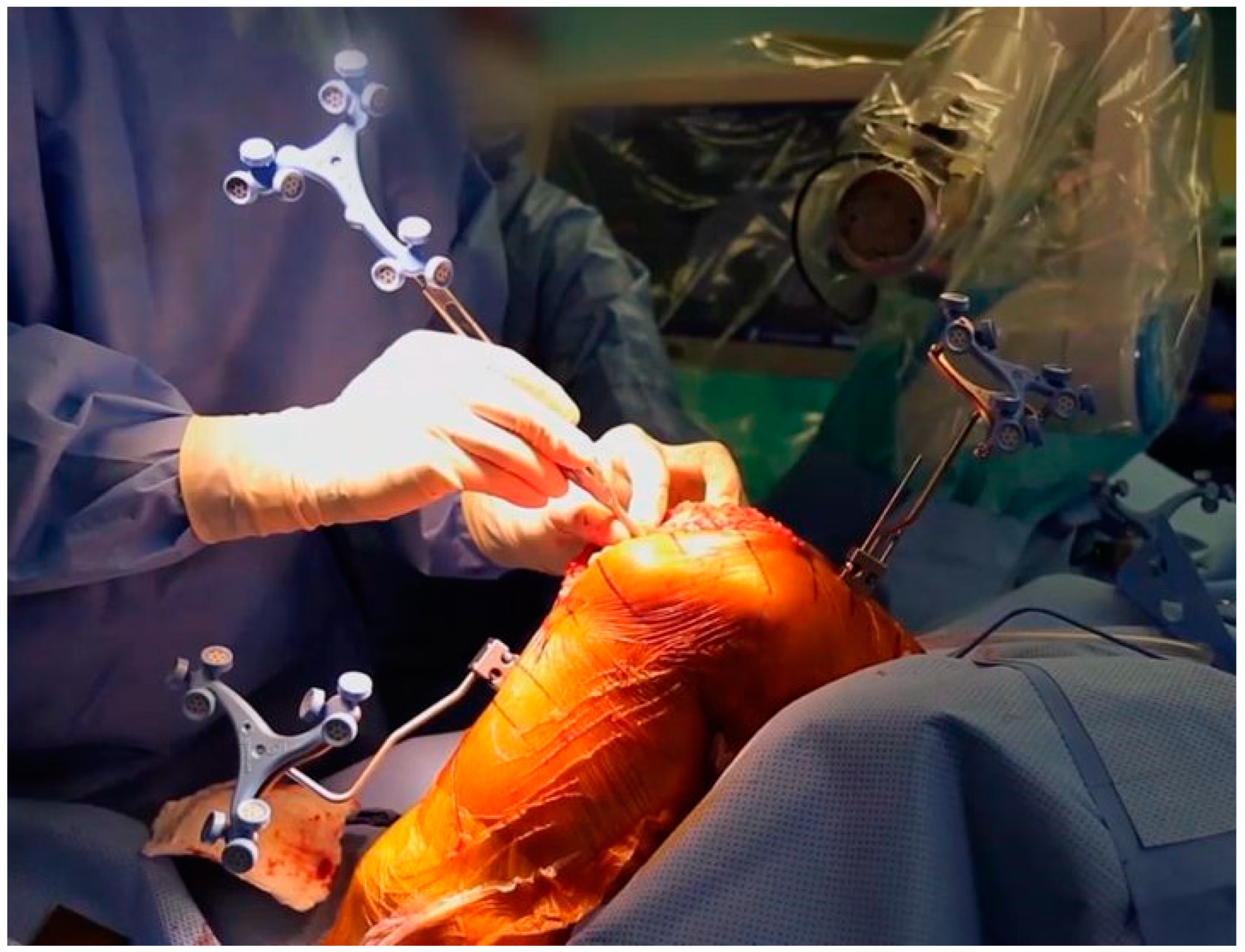 Prosthesis 05 00086 g006