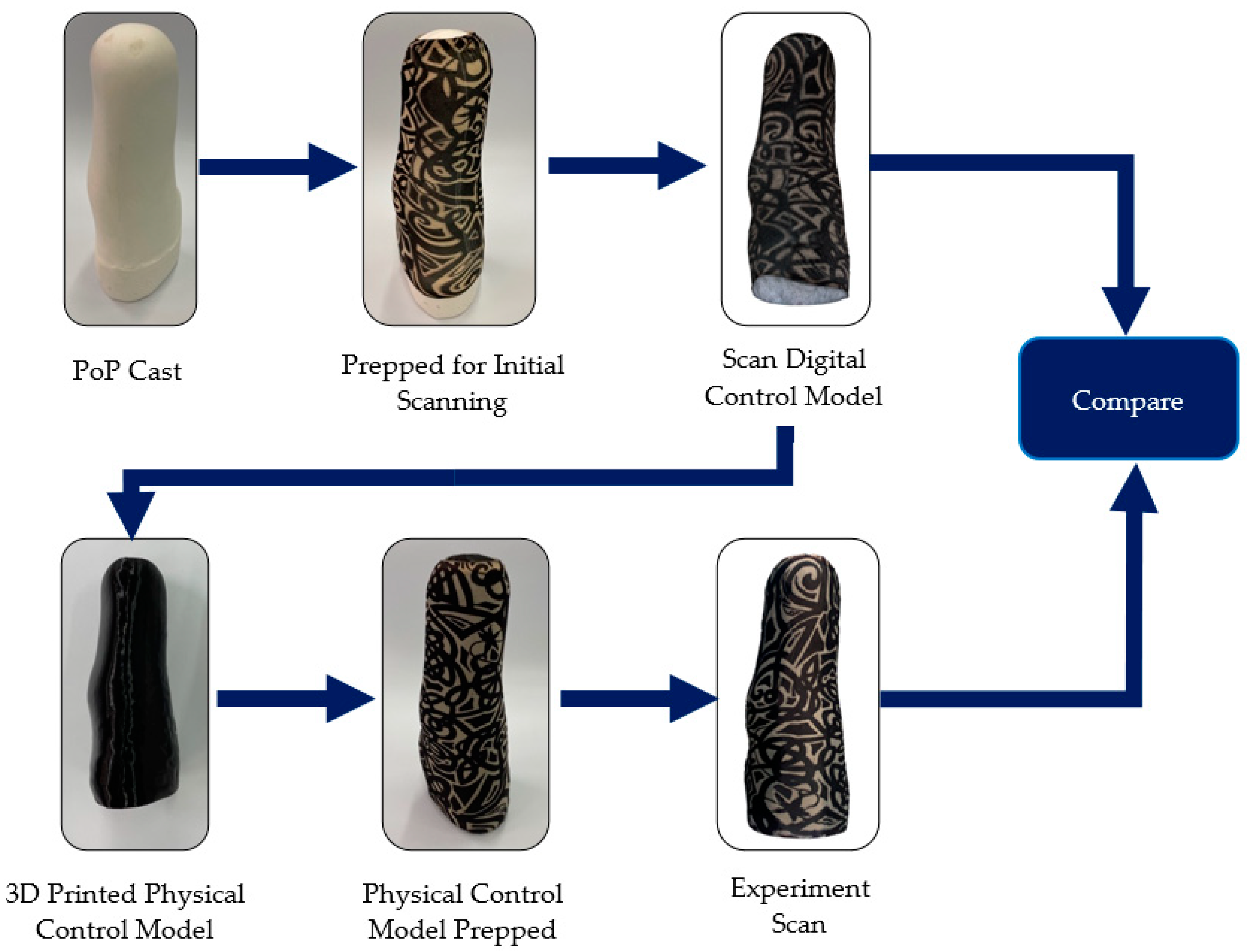 Prosthesis 05 00095 g001
