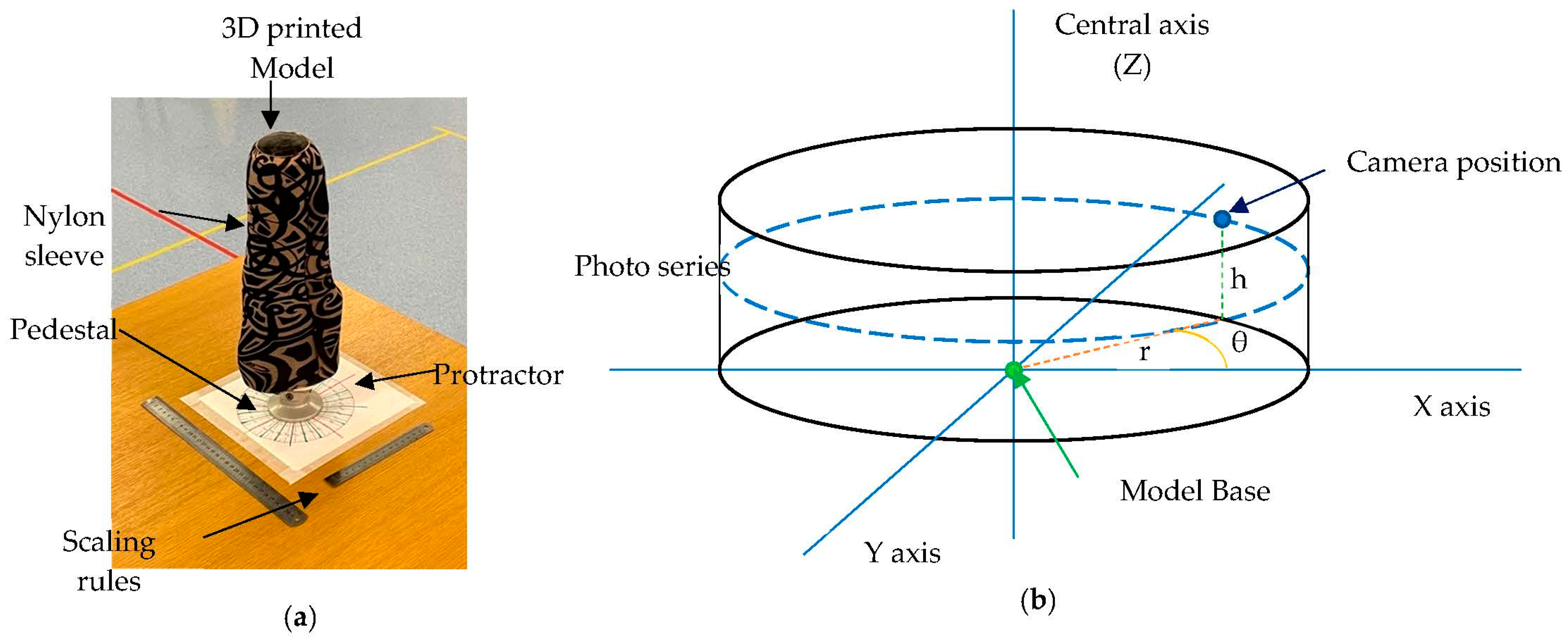 Prosthesis 05 00095 g002