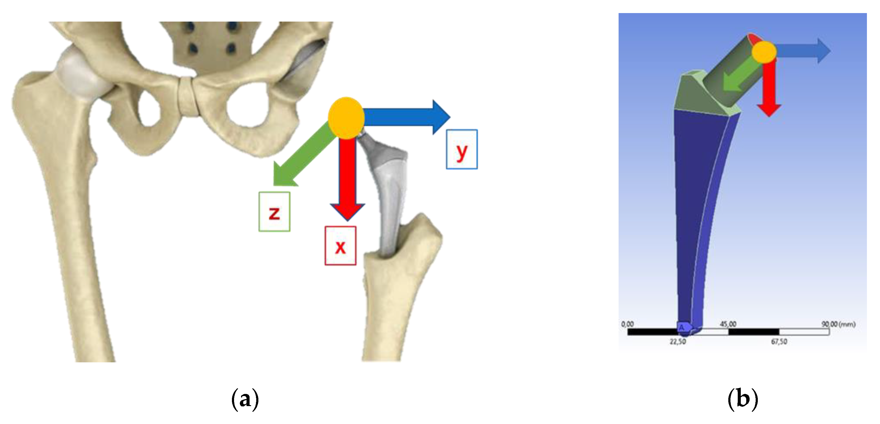 Prosthesis 06 00002 g007 Prosthesis 06 00002 g007