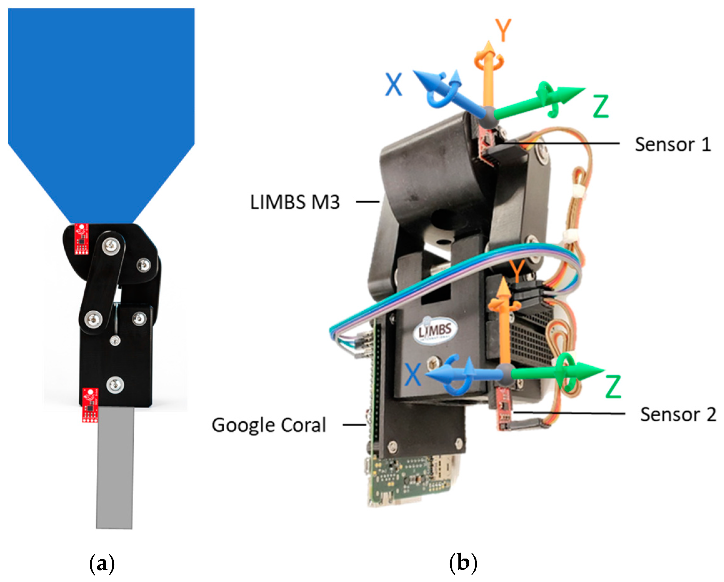 Prosthesis 06 00018 g002