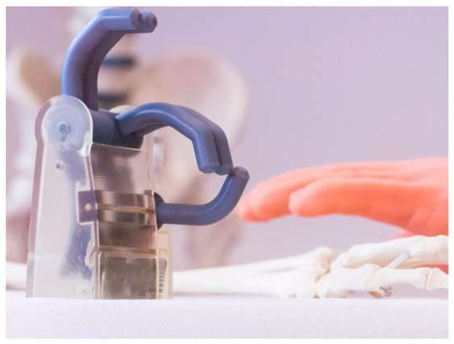 Prosthesis 06 00021 g001