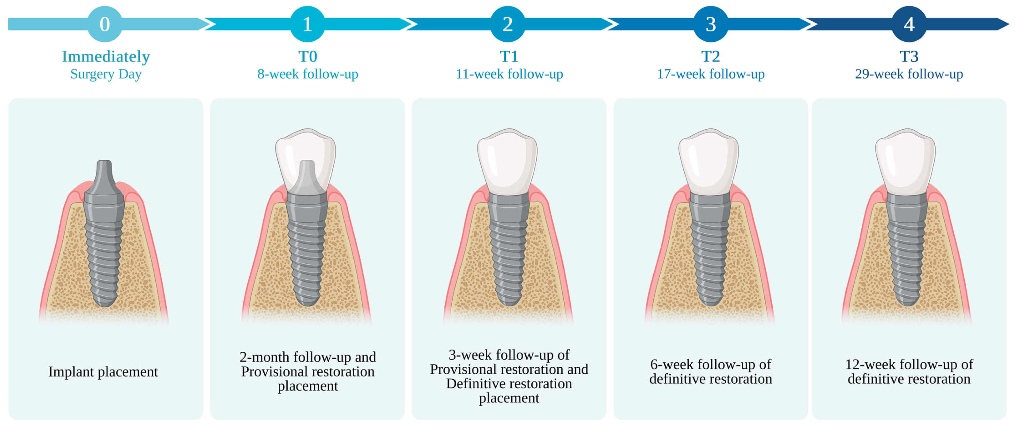 Prosthesis 06 00027 g003