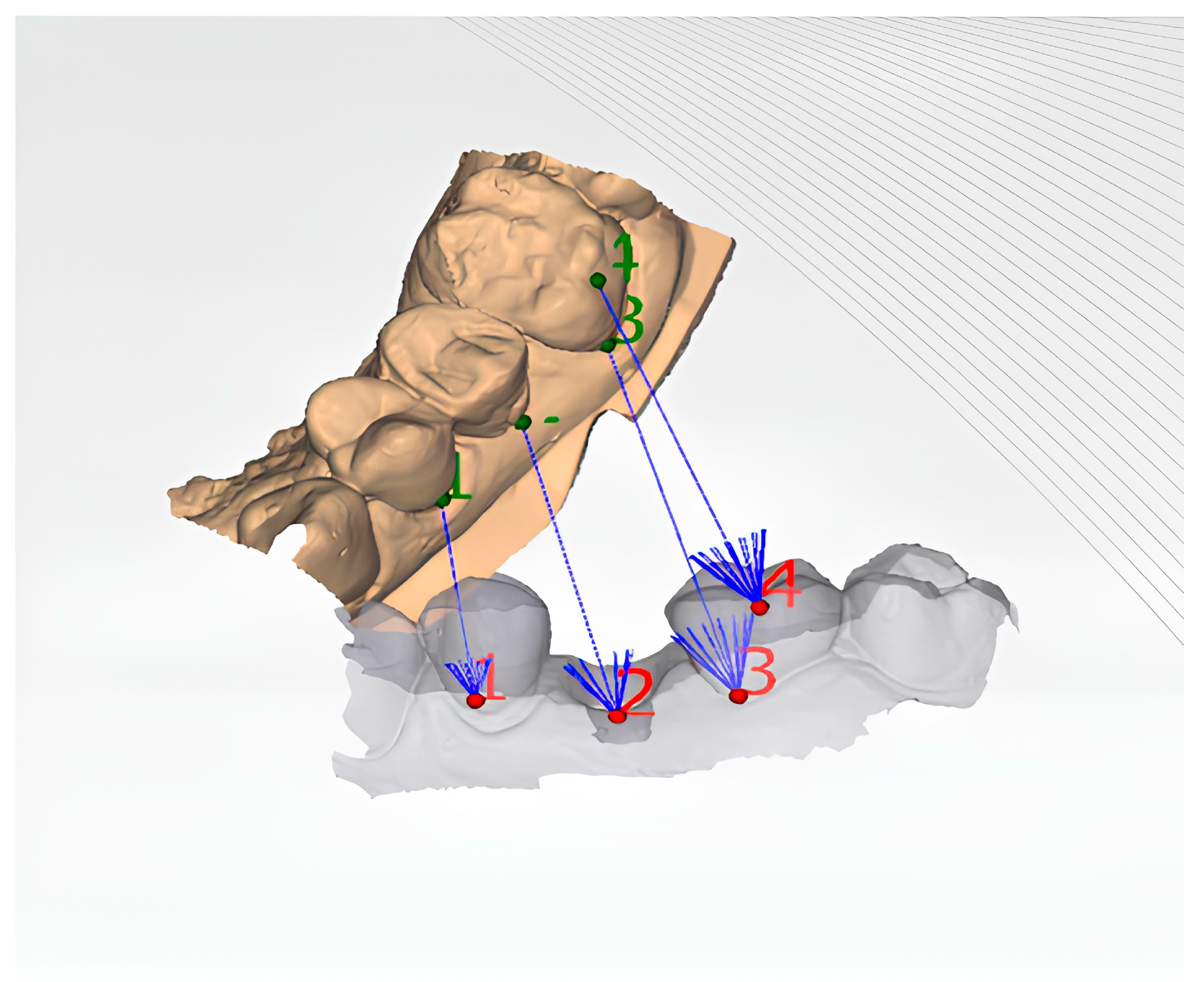 Prosthesis 06 00042 g010b