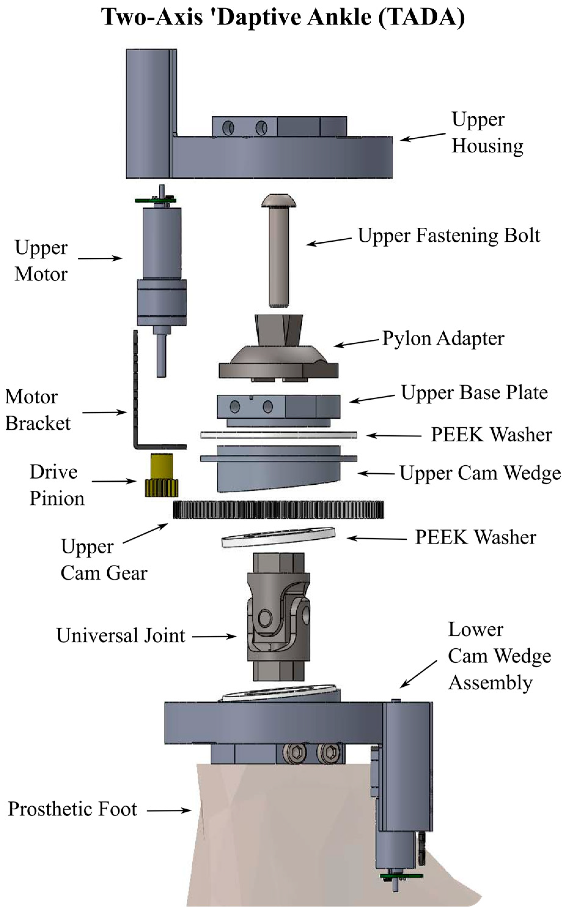 Prosthesis 06 00049 g001