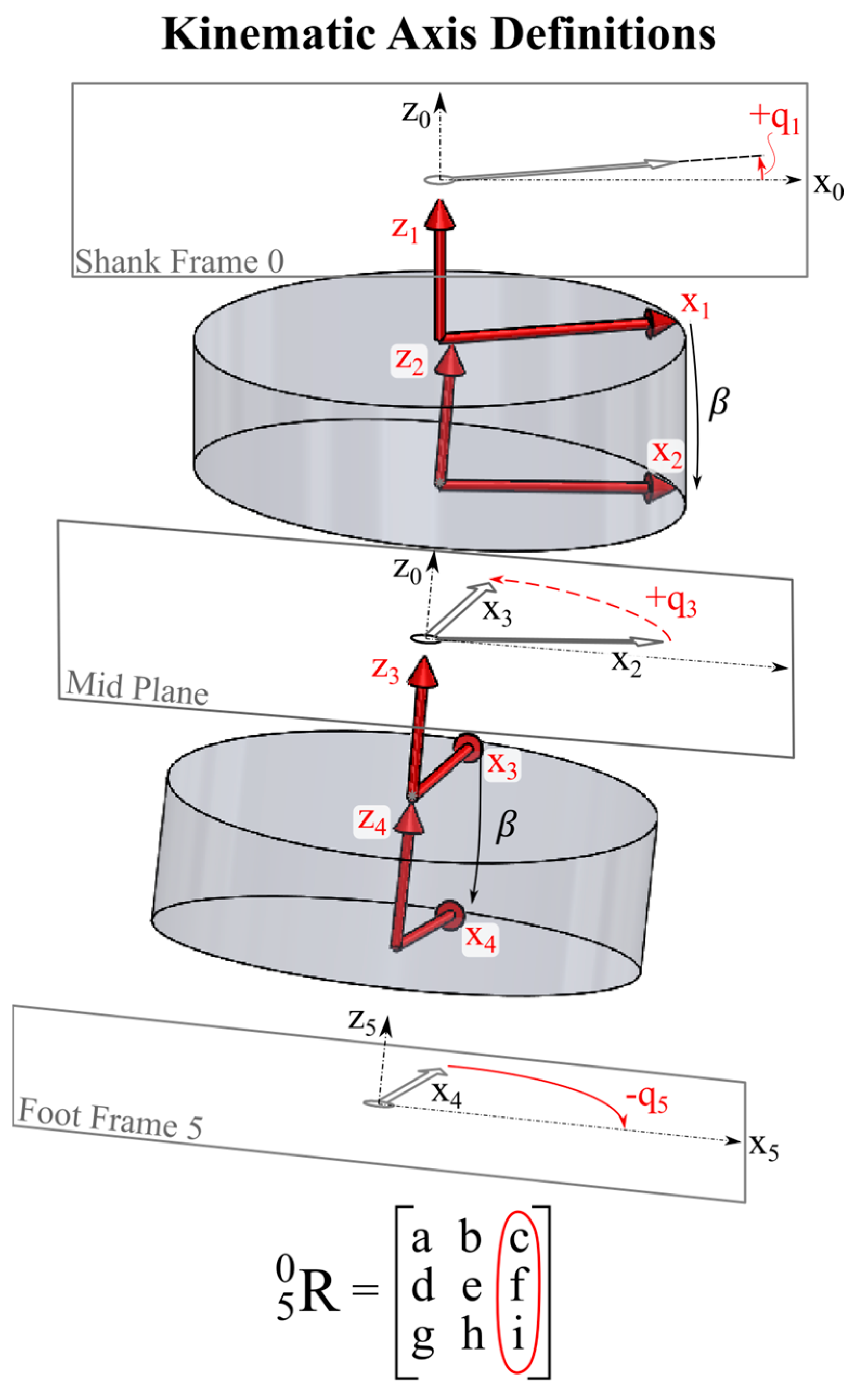 Prosthesis 06 00049 g002