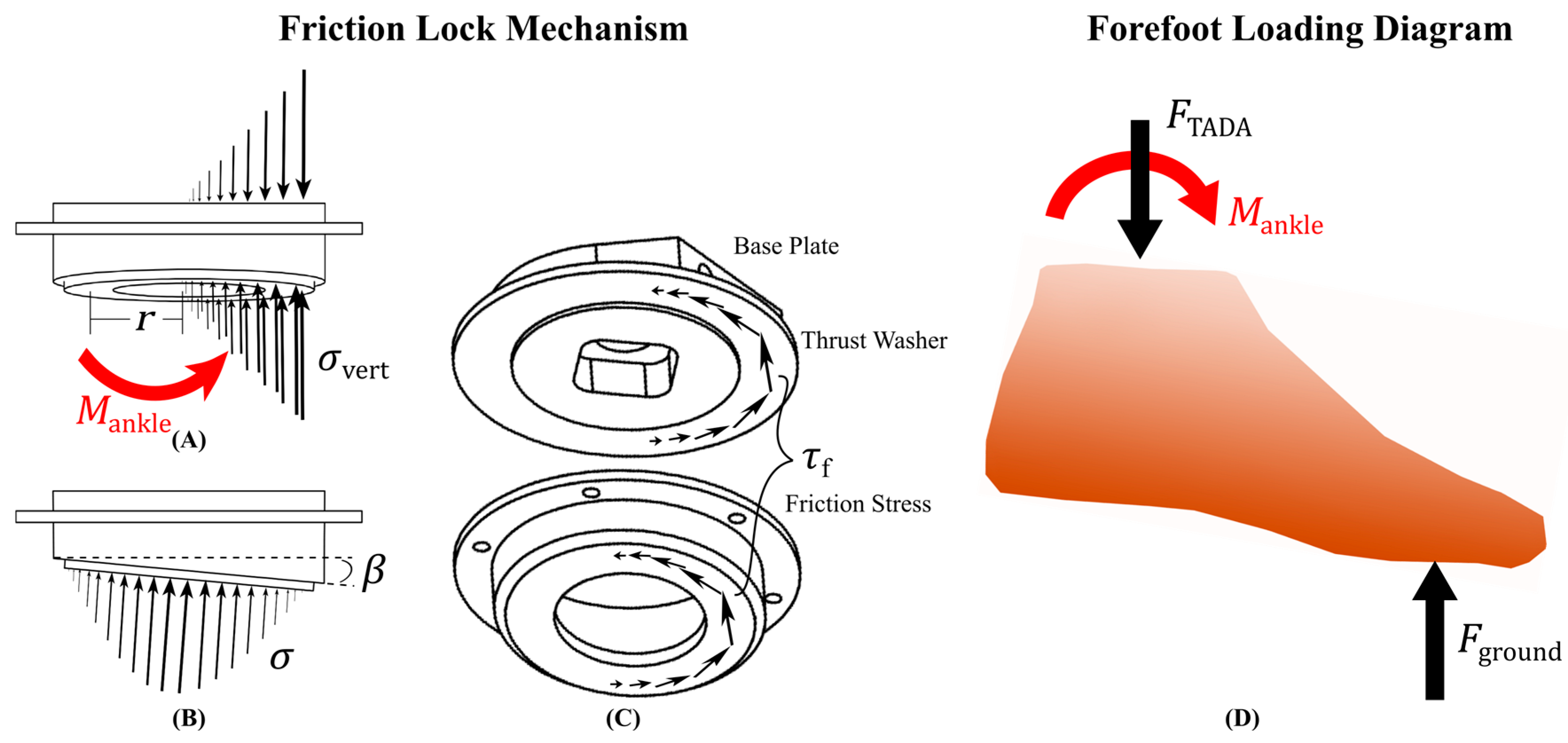 Prosthesis 06 00049 g005