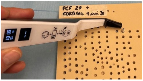 Prosthesis 06 00067 g005