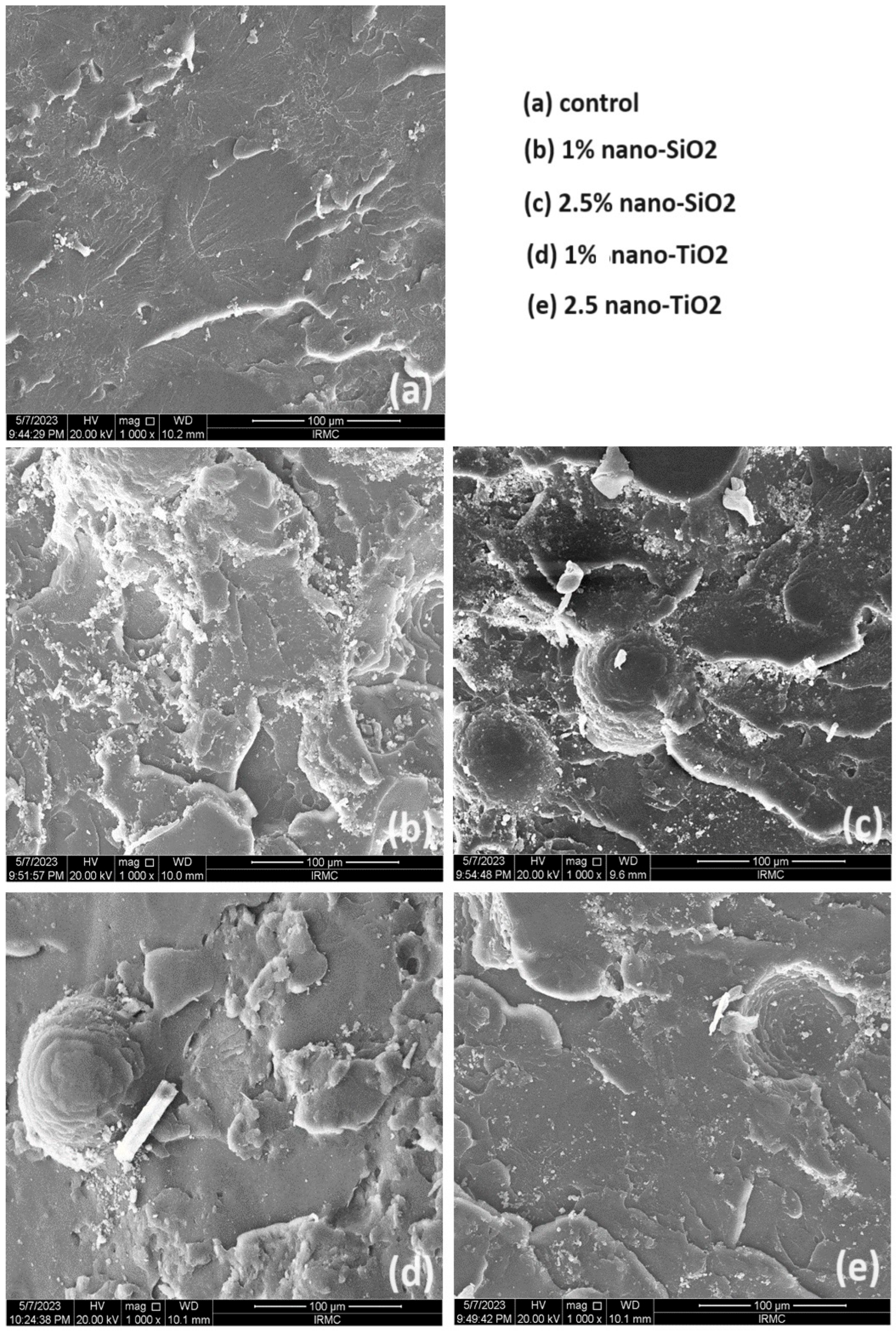 Prosthesis 06 00069 g004