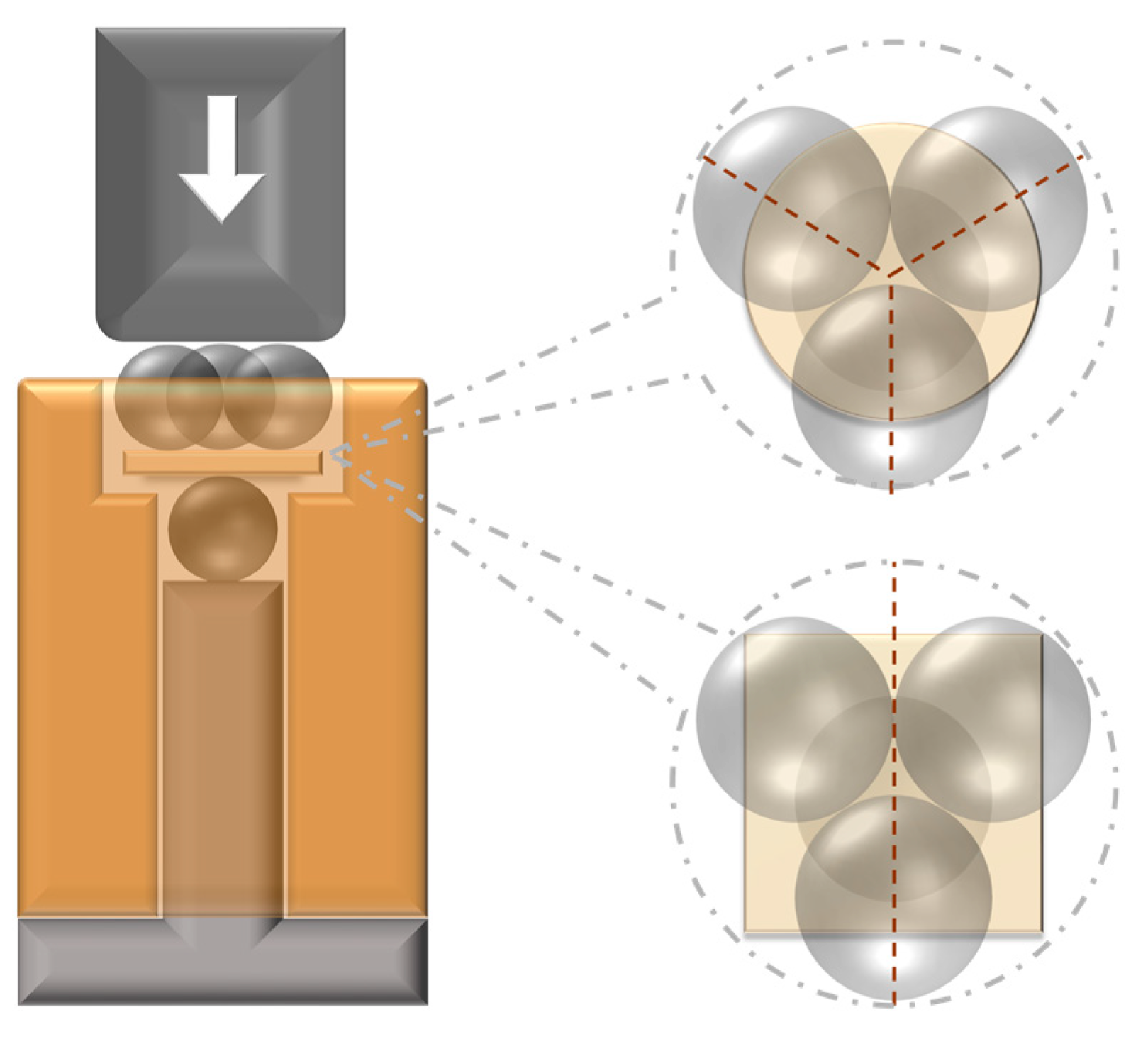 Prosthesis 06 00077 g002