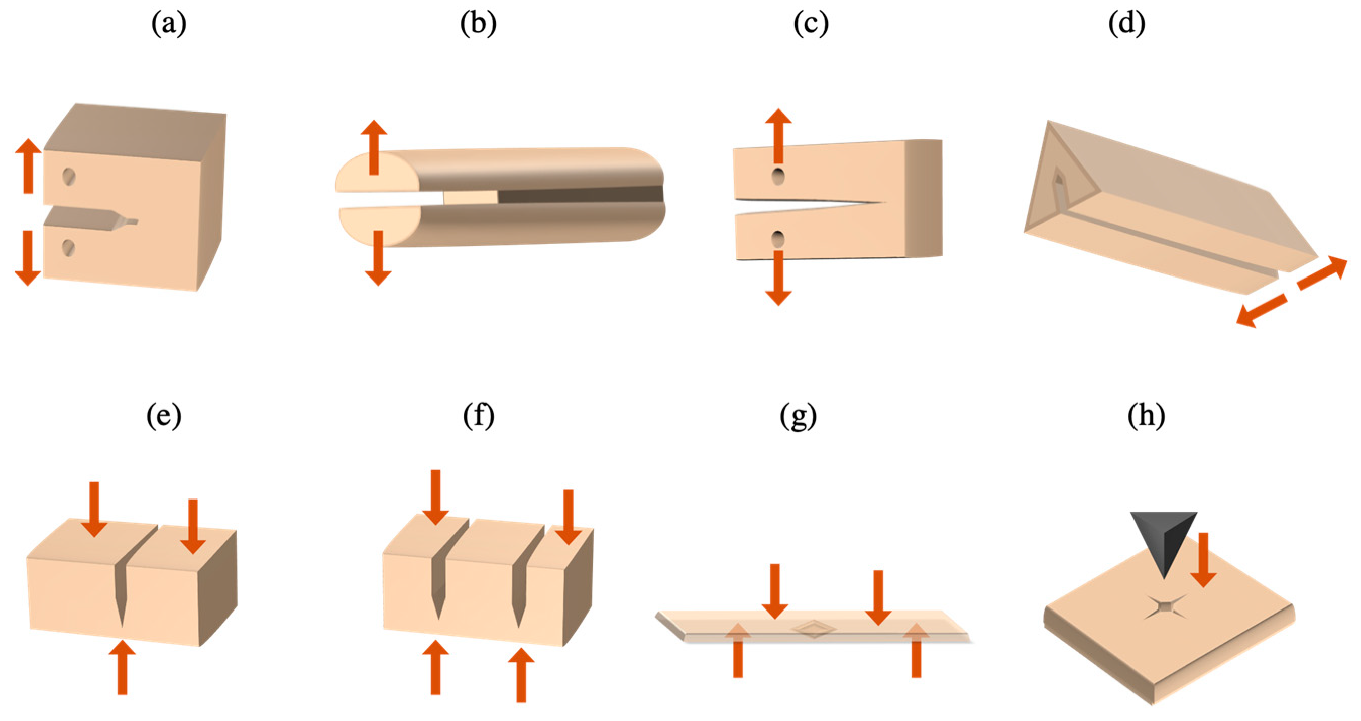 Prosthesis 06 00077 g004
