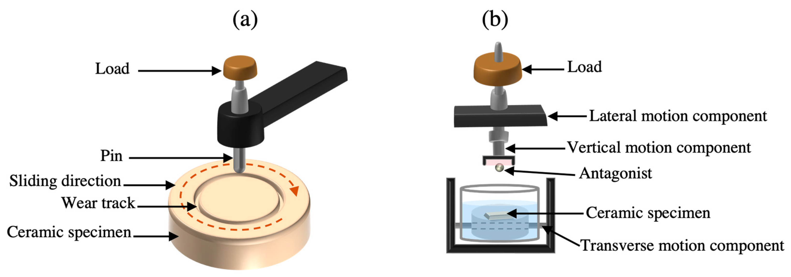 Prosthesis 06 00077 g010