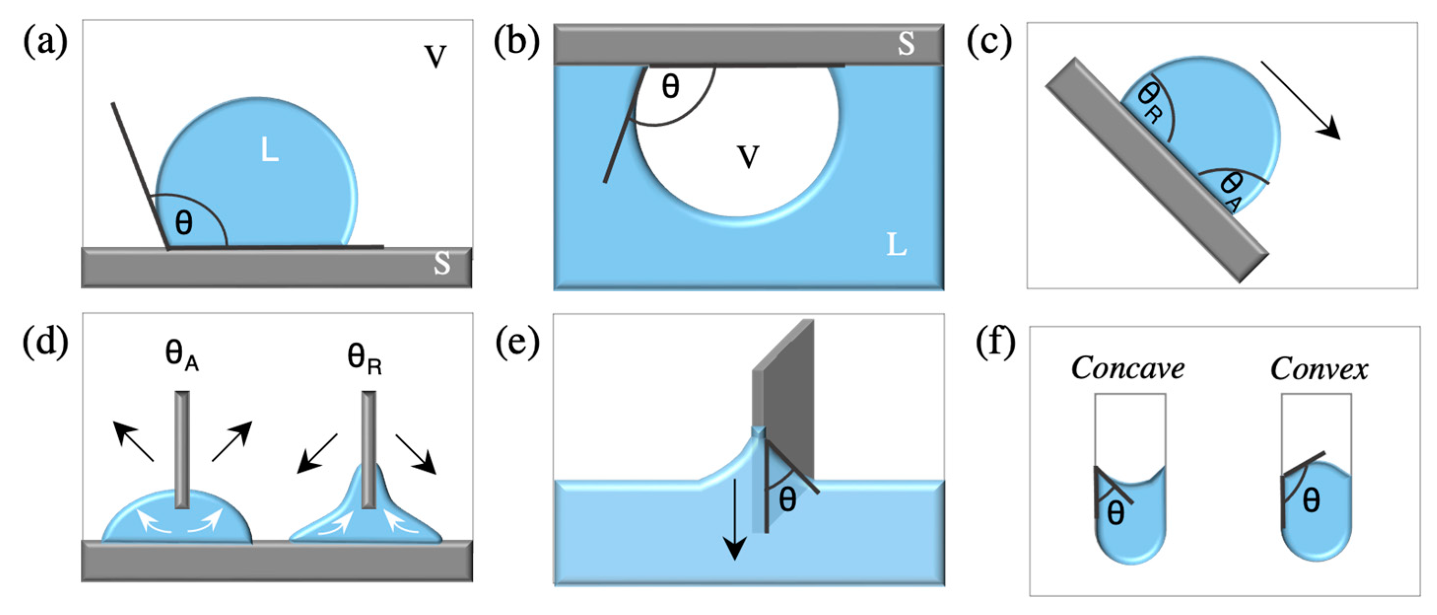 Prosthesis 06 00077 g013