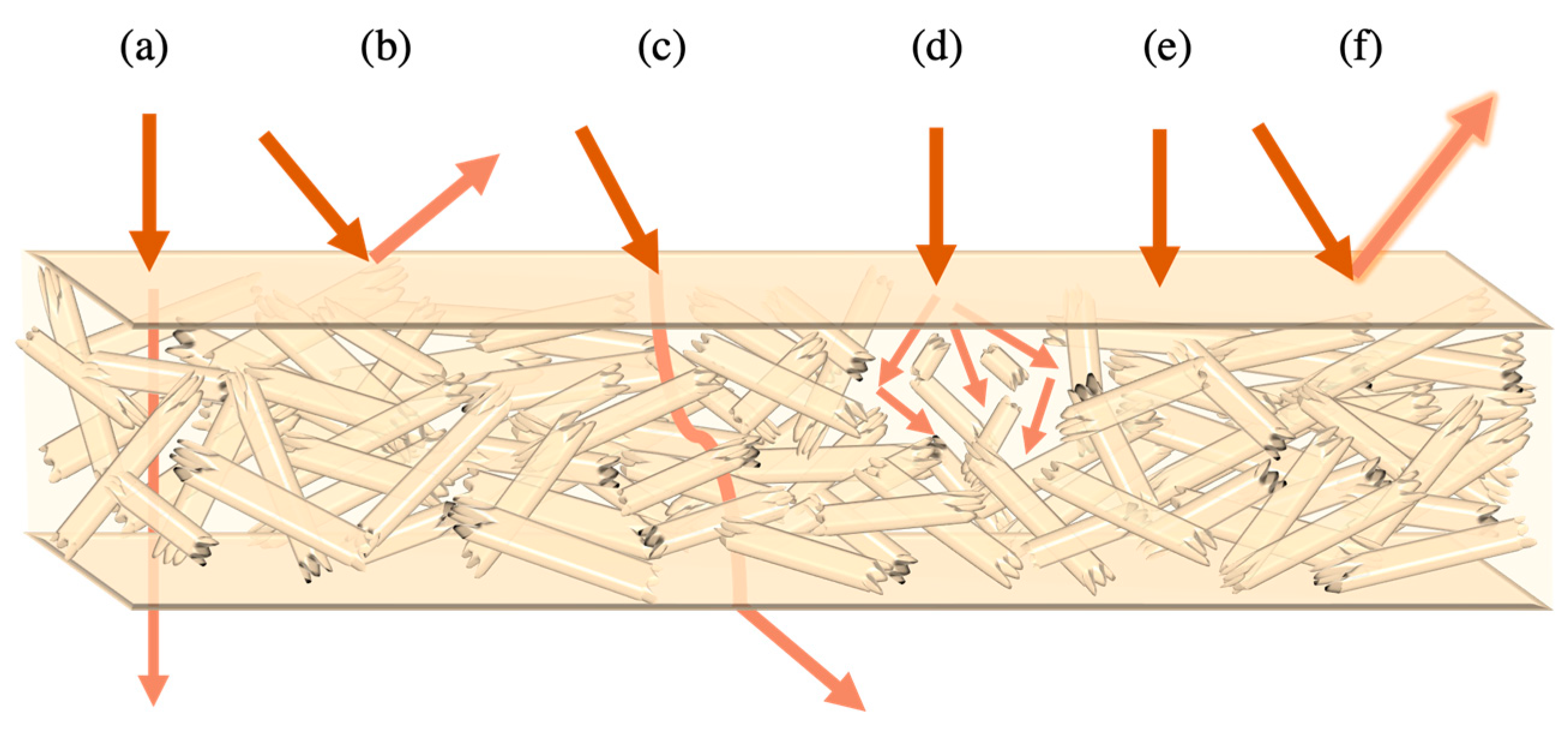 Prosthesis 06 00077 g015