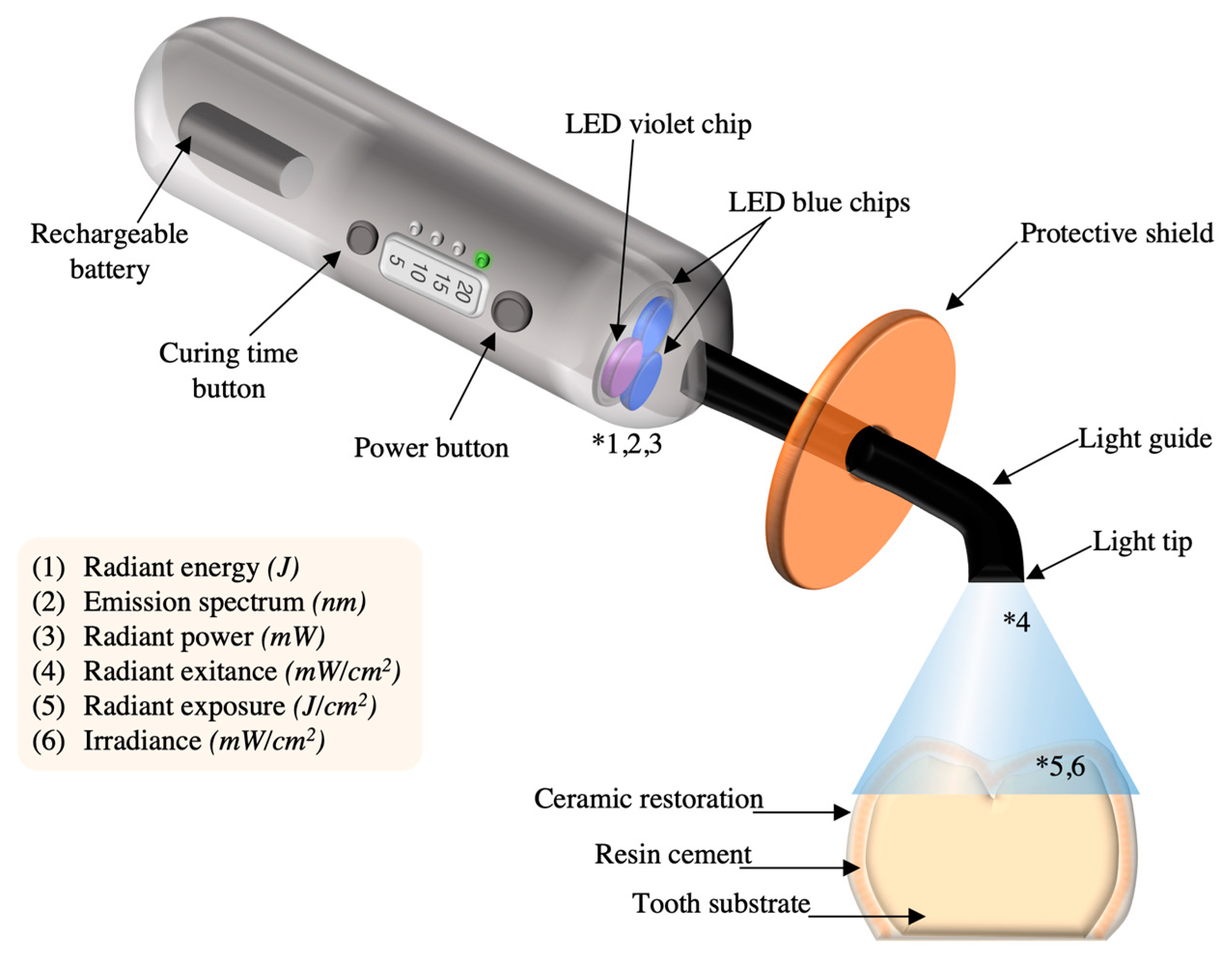 Prosthesis 06 00077 g018