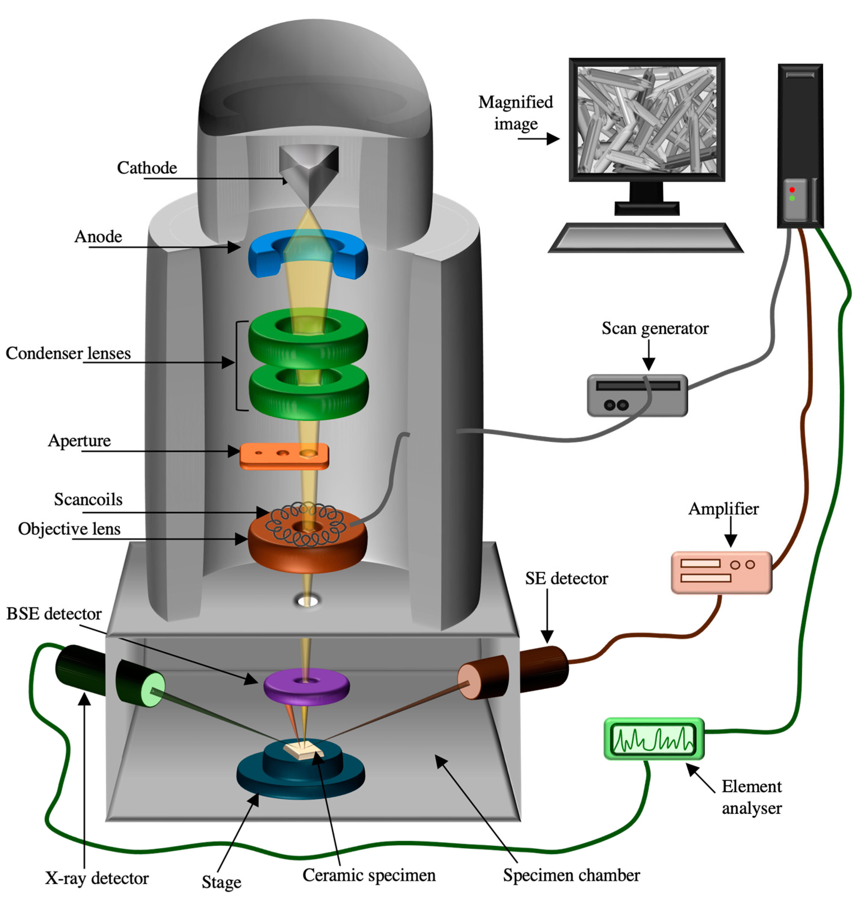 Prosthesis 06 00077 g020