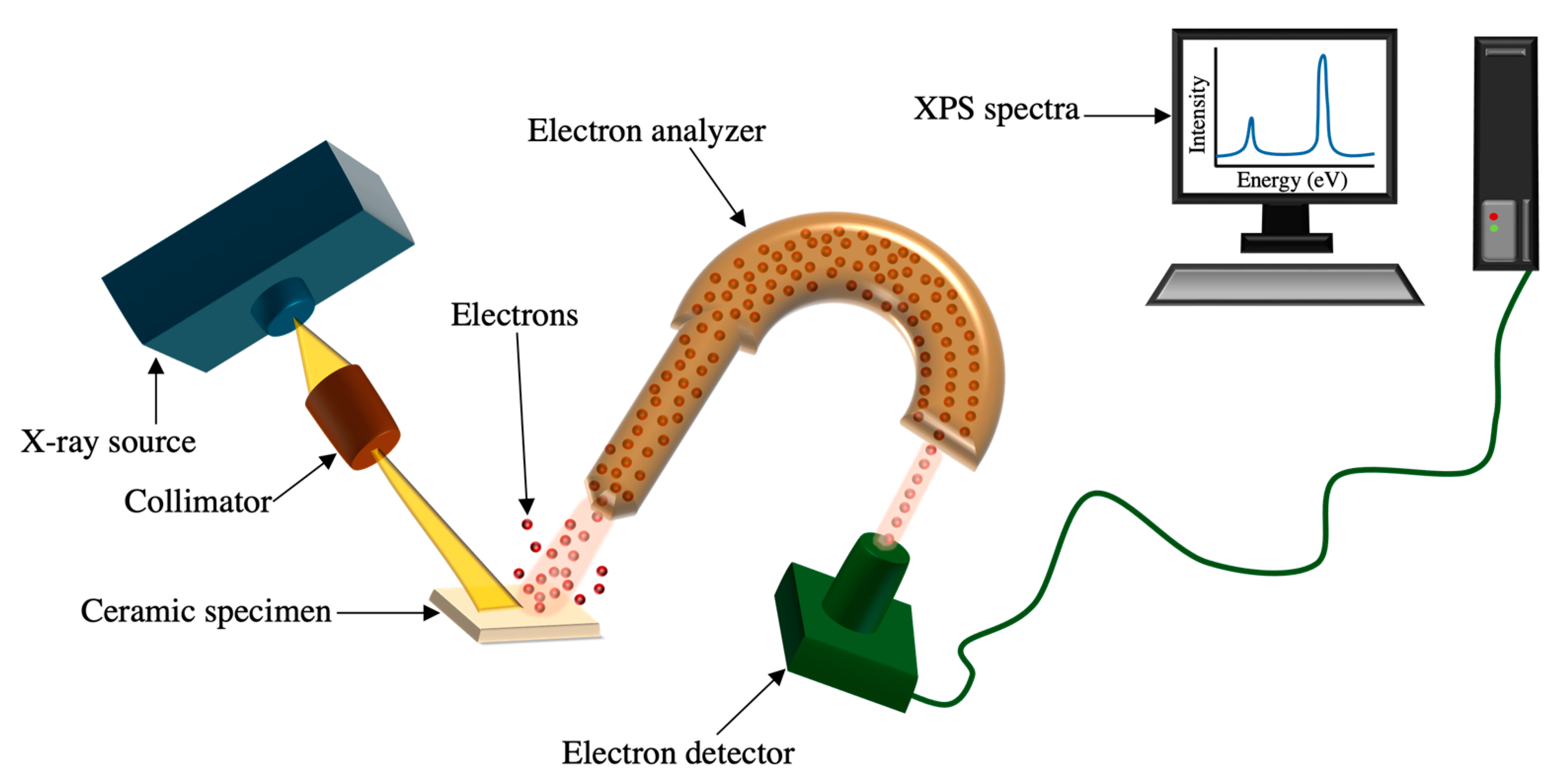 Prosthesis 06 00077 g023