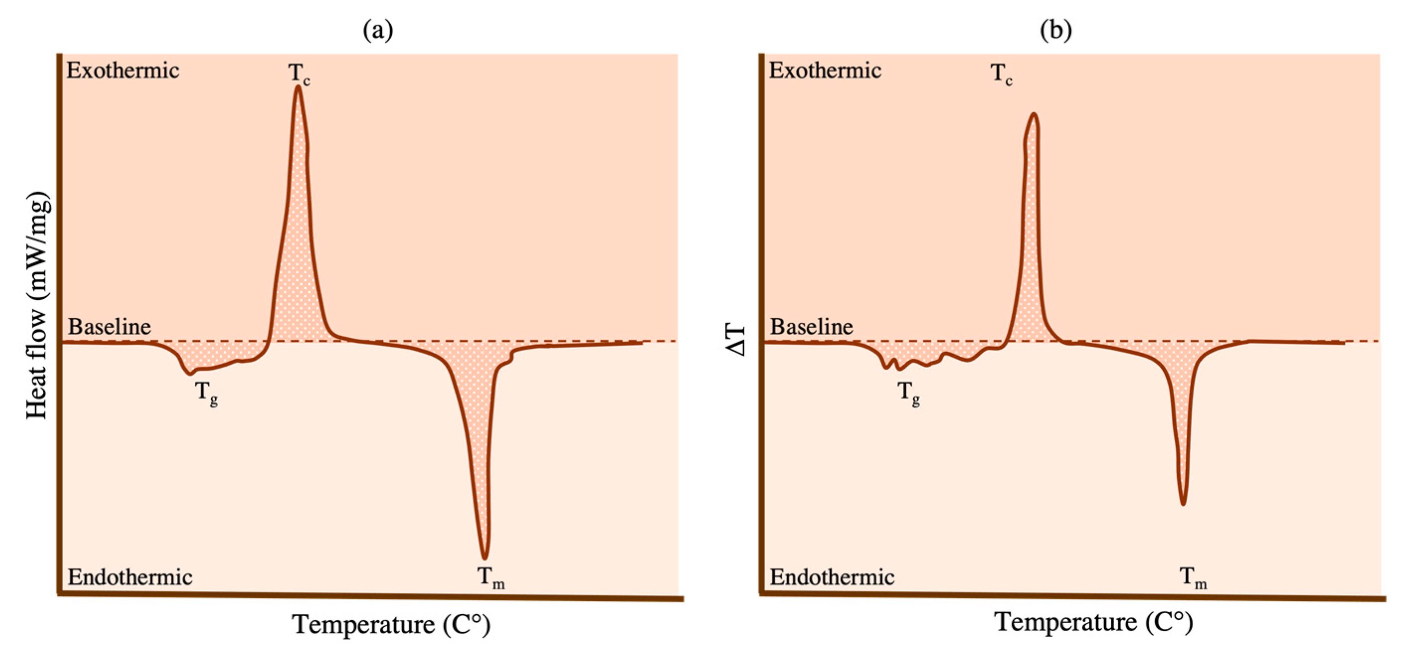 Prosthesis 06 00077 g024