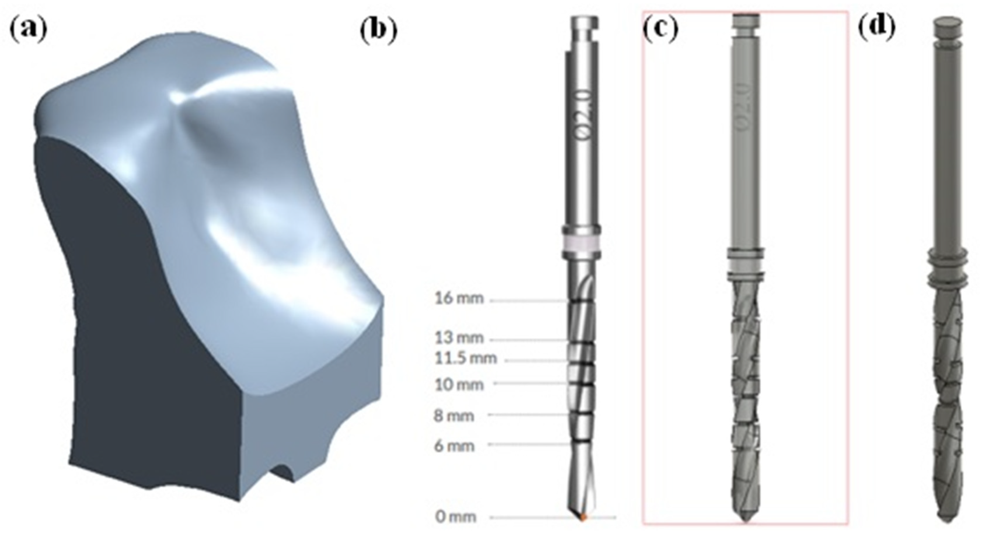 Prosthesis 07 00008 g001