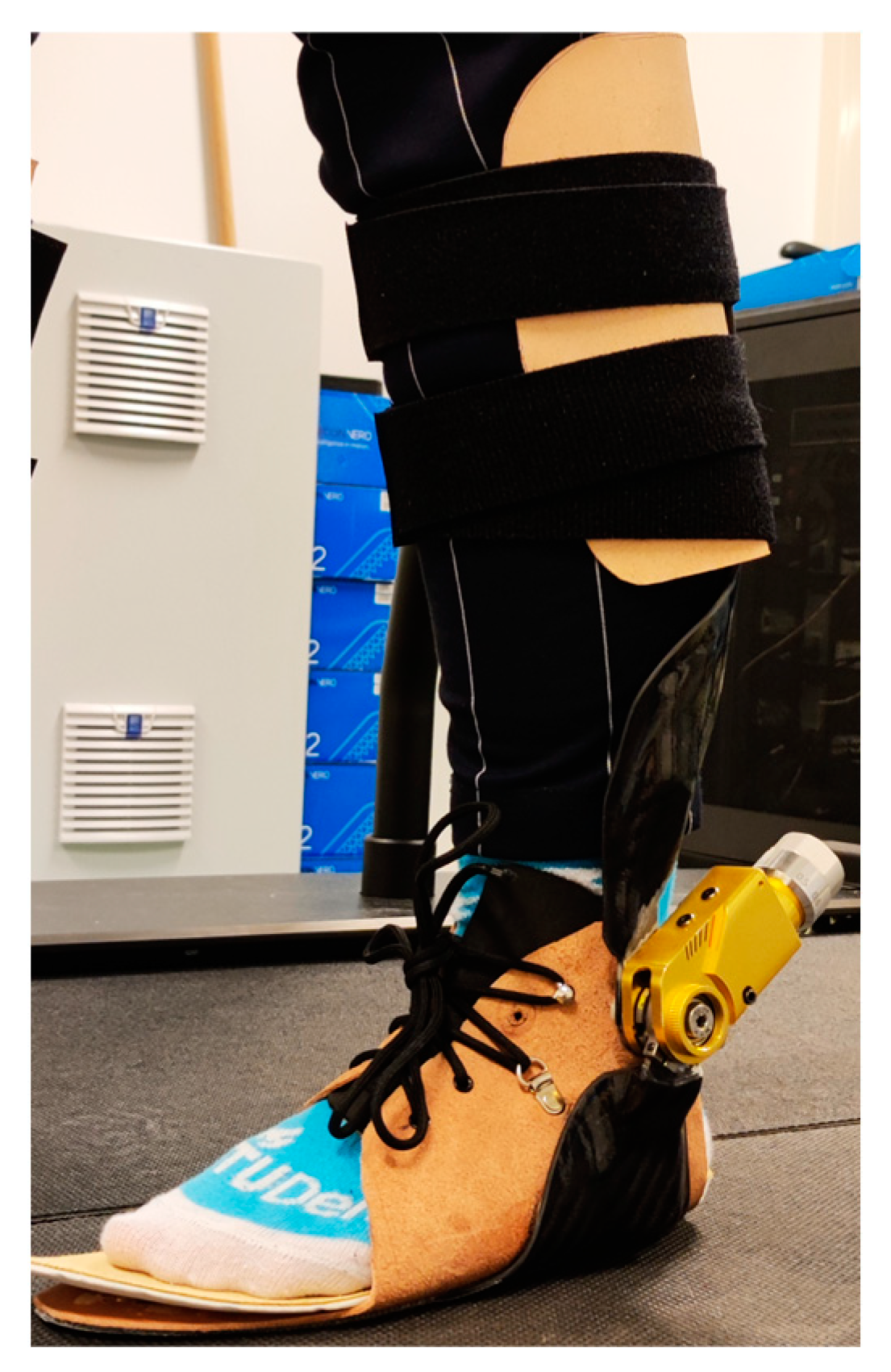 Prosthesis 07 00012 g002 Prosthesis 07 00012 g002
