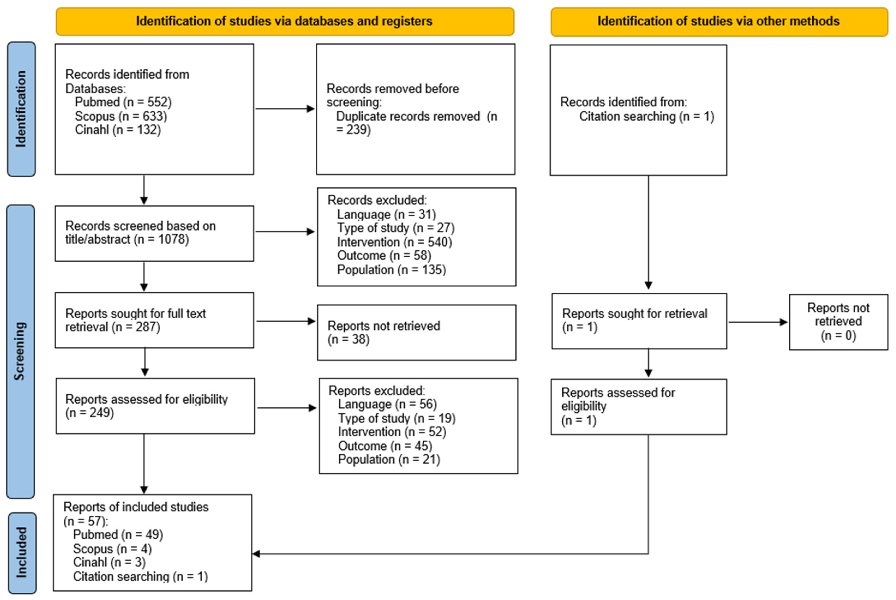 Prosthesis 07 00013 g001
