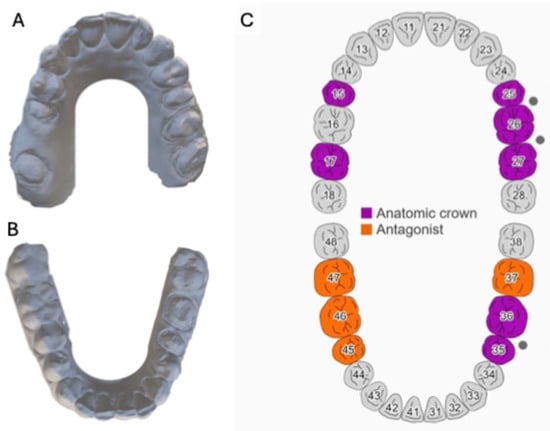 Prosthesis 07 00023 g003