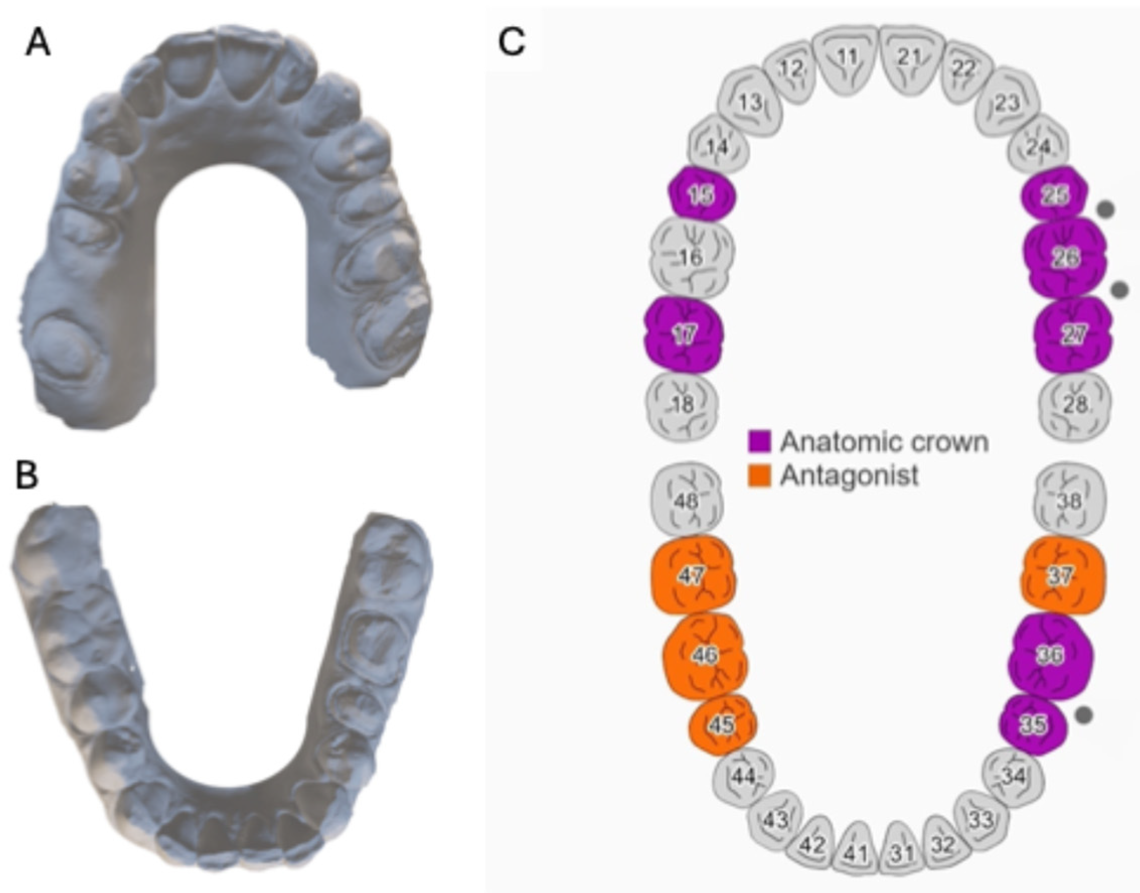 Prosthesis 07 00023 g003