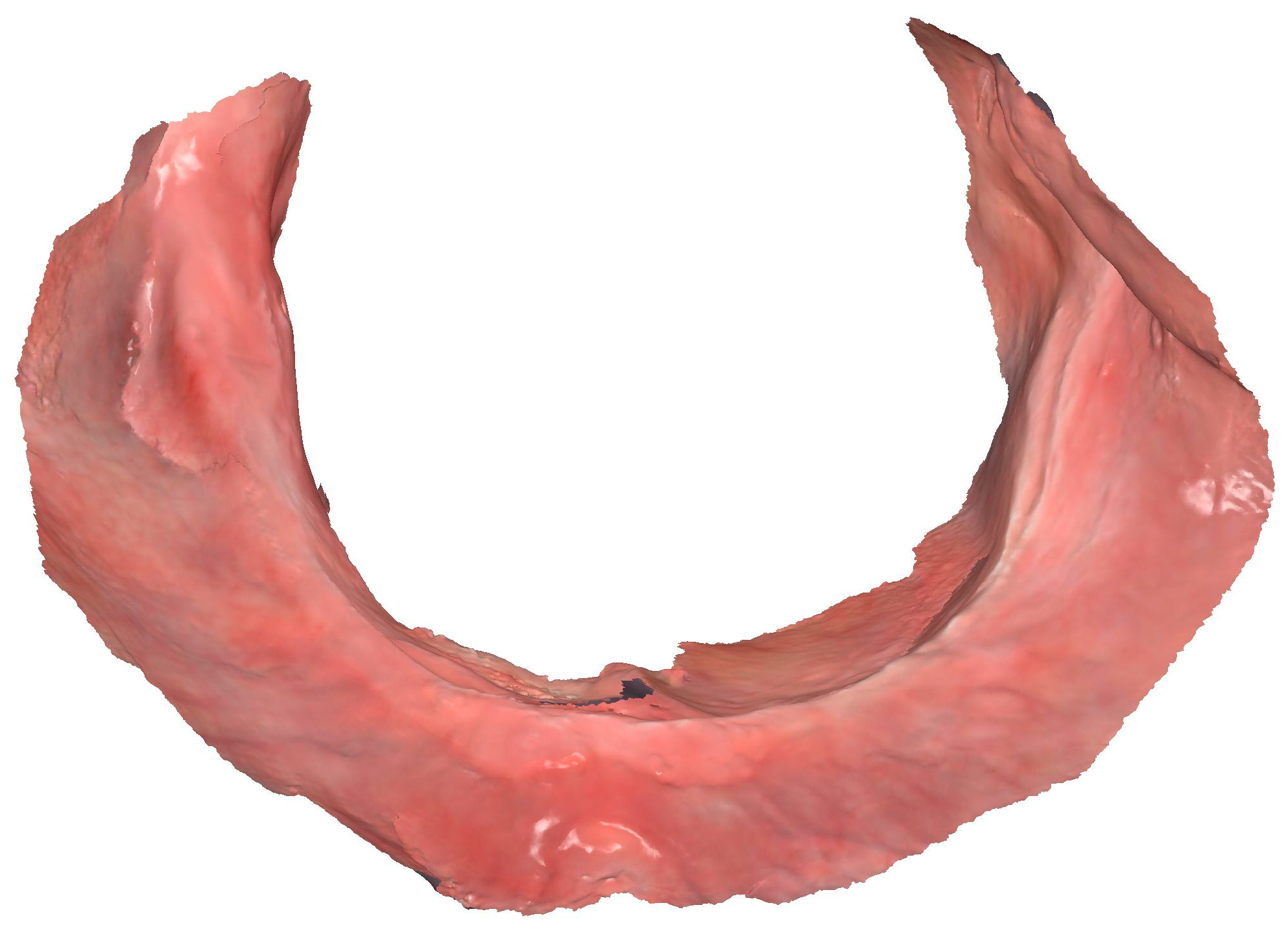 Prosthesis 07 00029 g003