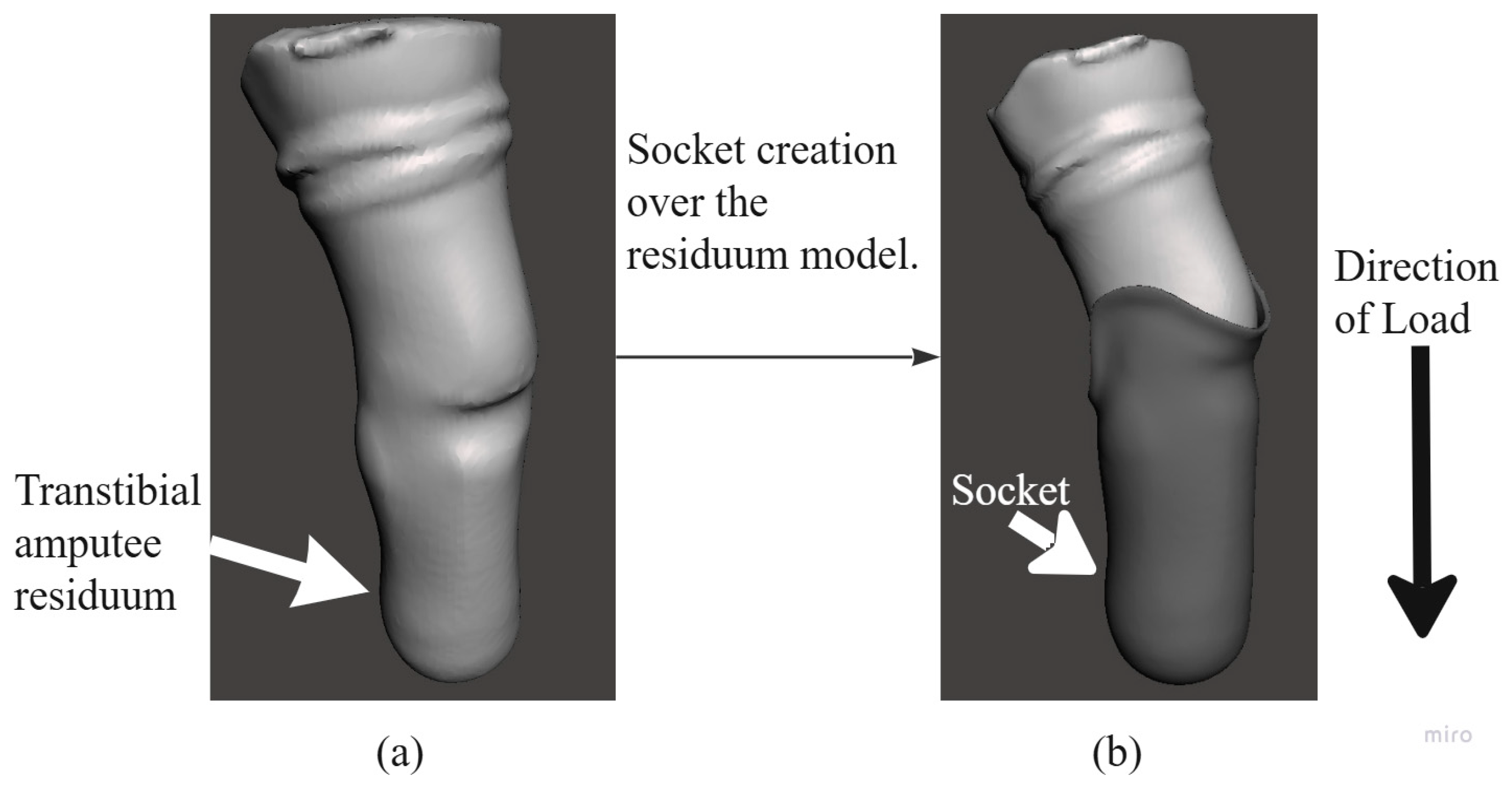 Prosthesis 07 00030 g001