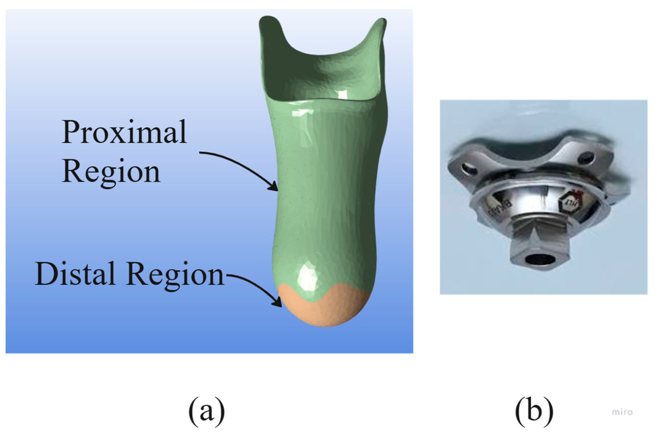 Prosthesis 07 00030 g002