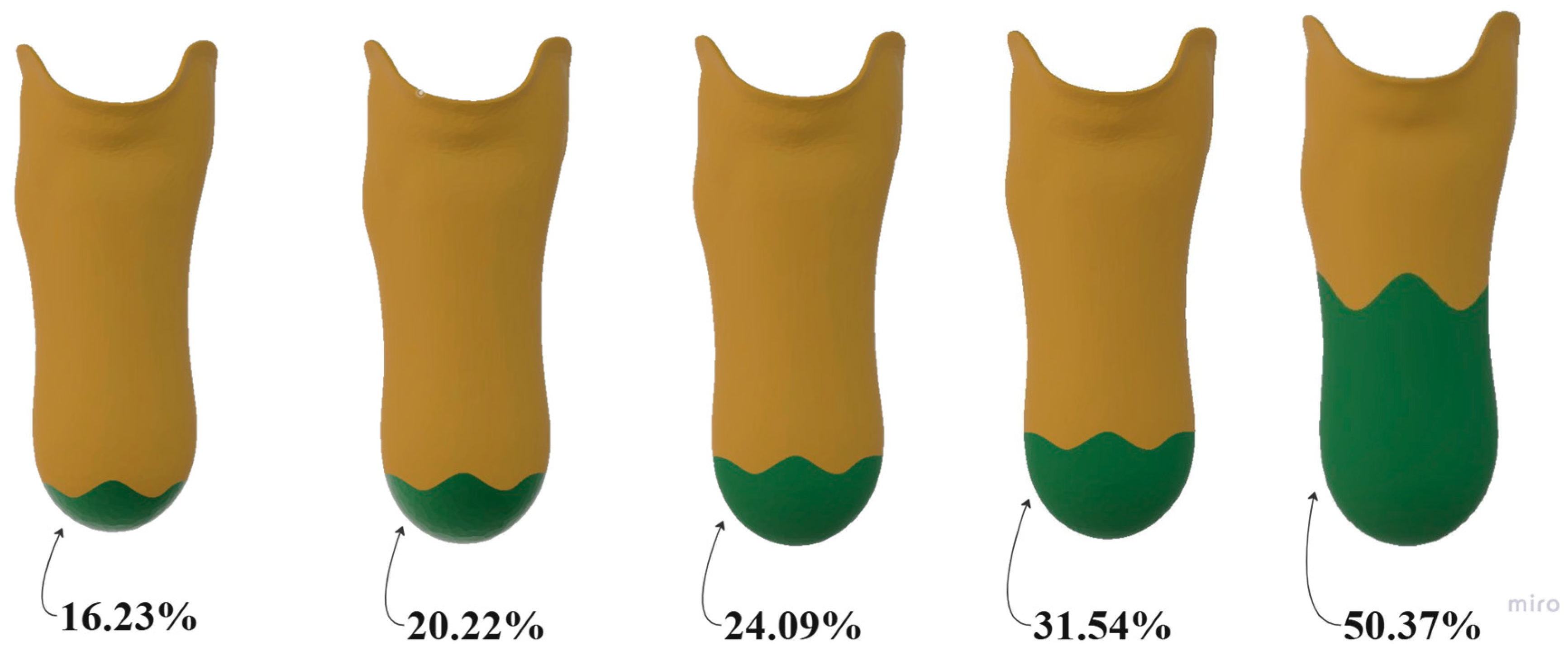 Prosthesis 07 00030 g003