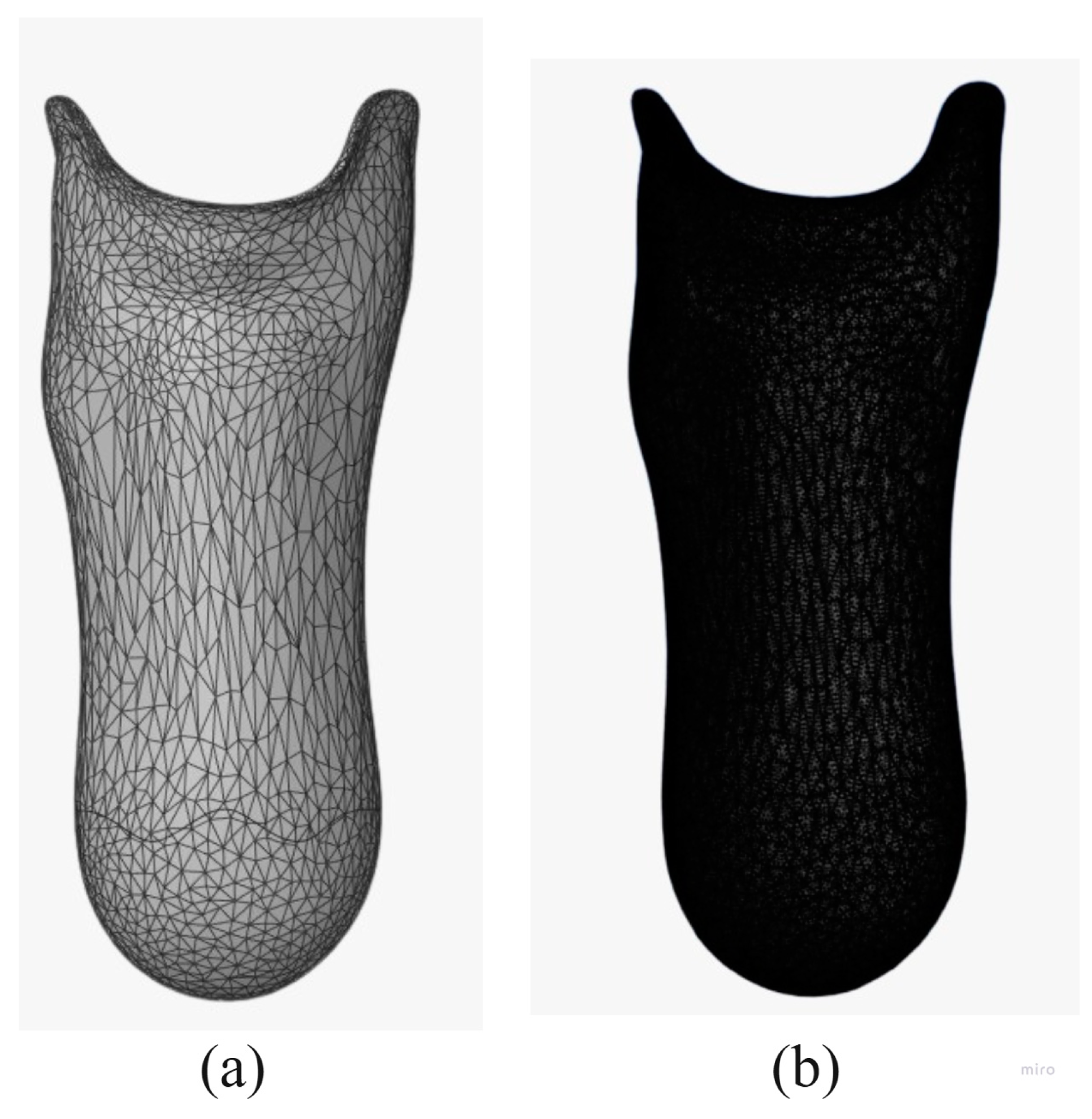 Prosthesis 07 00030 g005