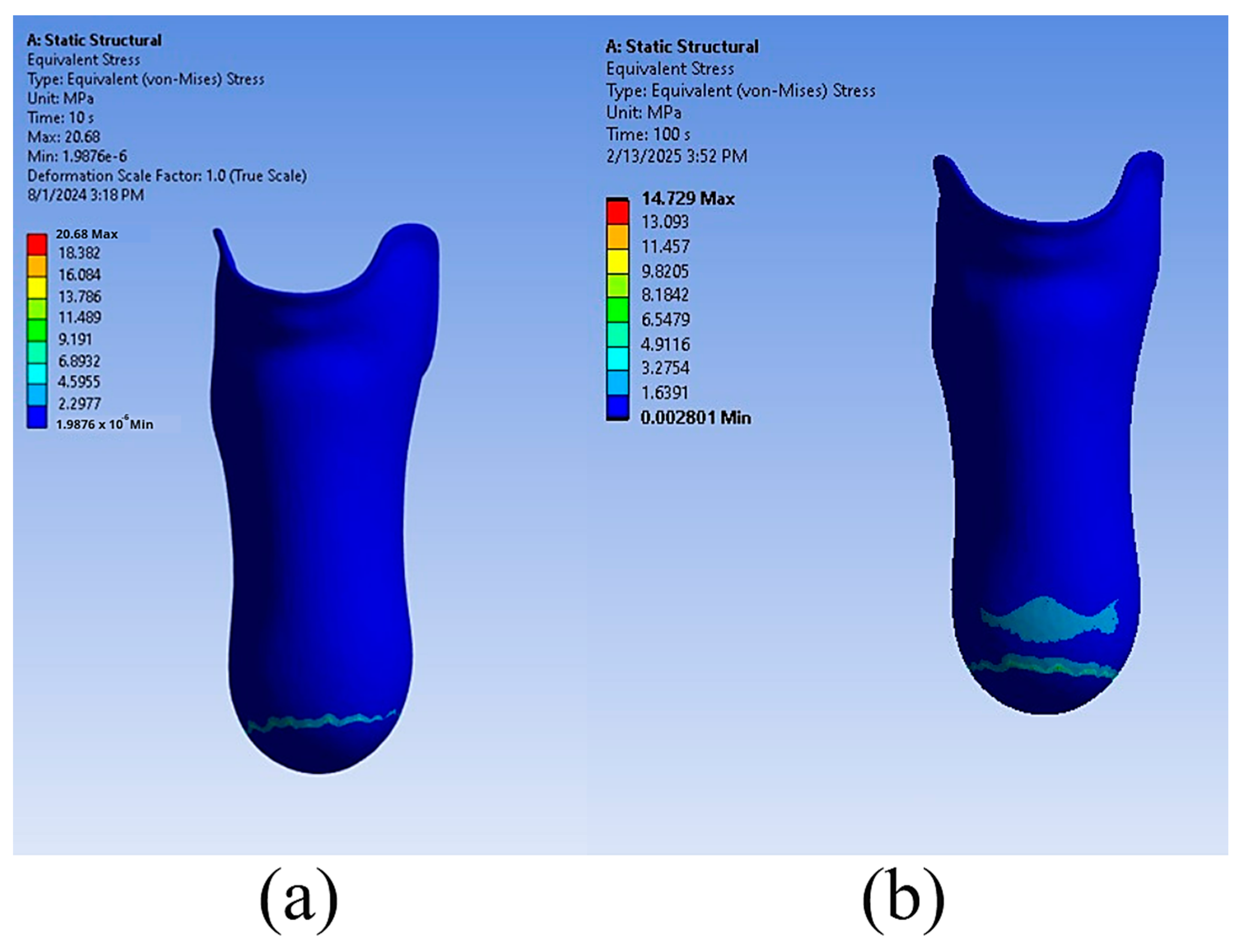Prosthesis 07 00030 g006