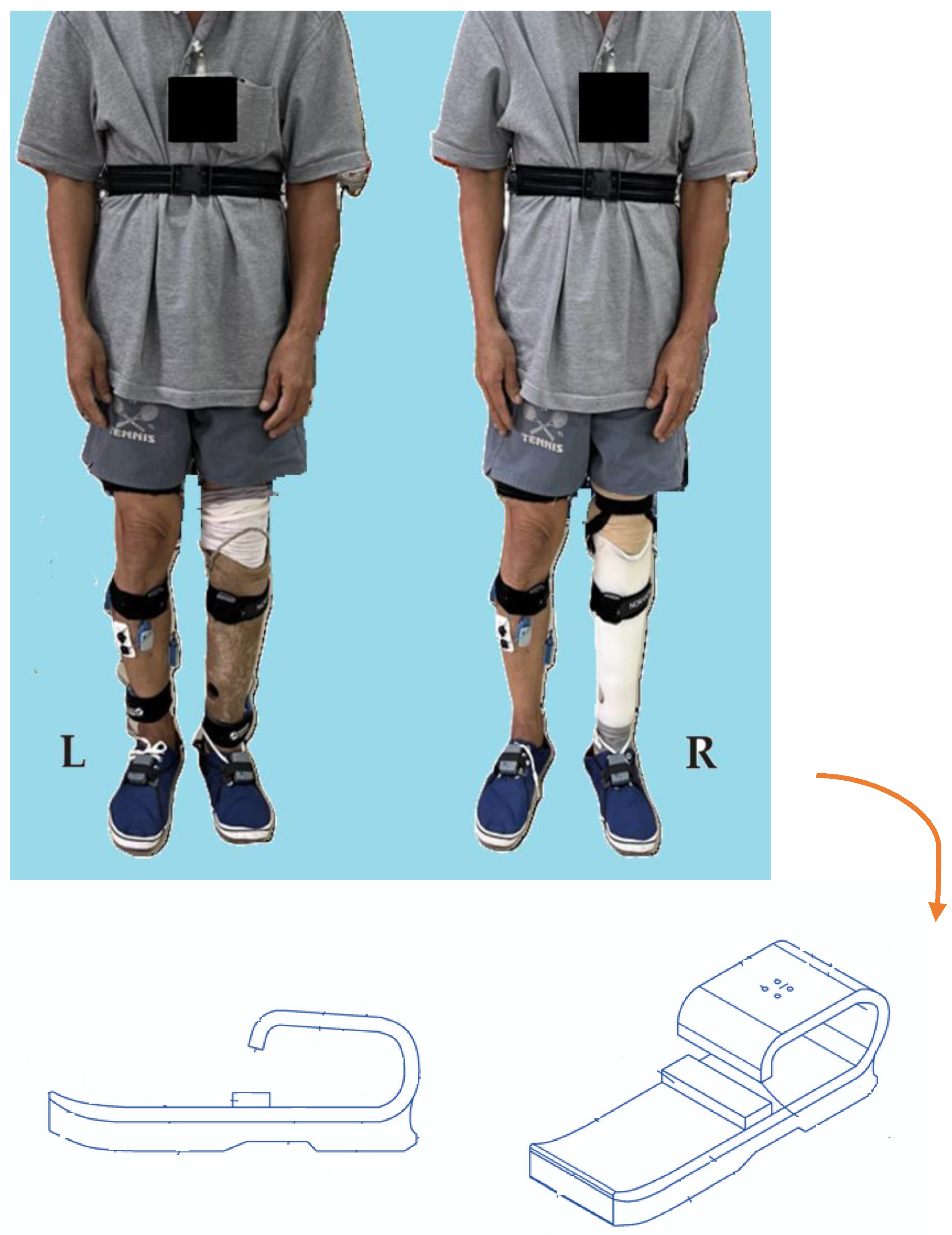 Prosthesis 07 00031 g002