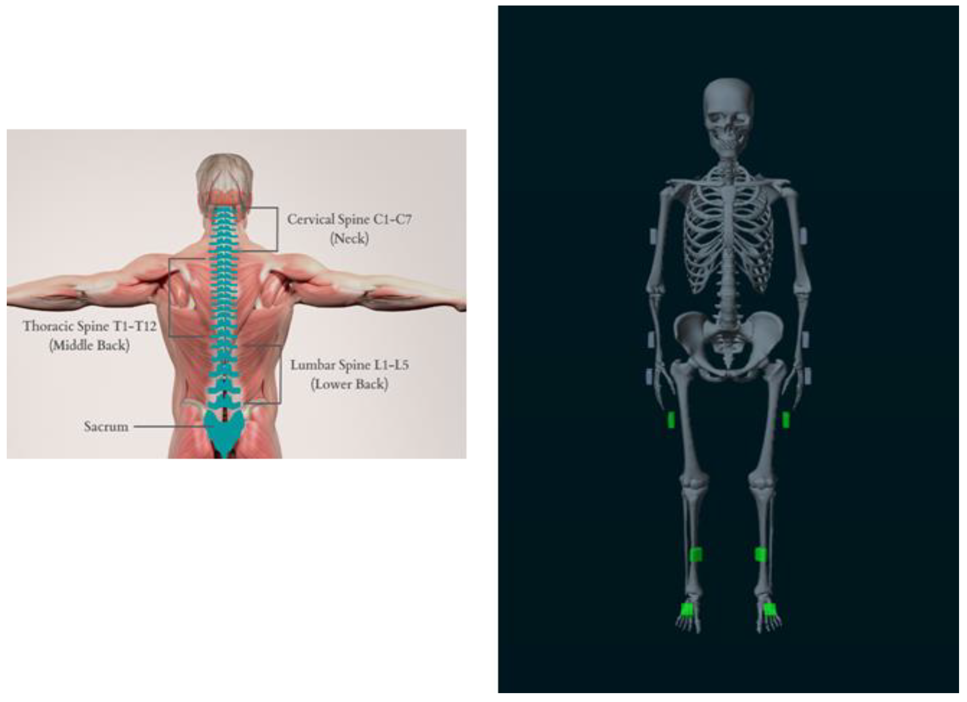 Prosthesis 07 00031 g003