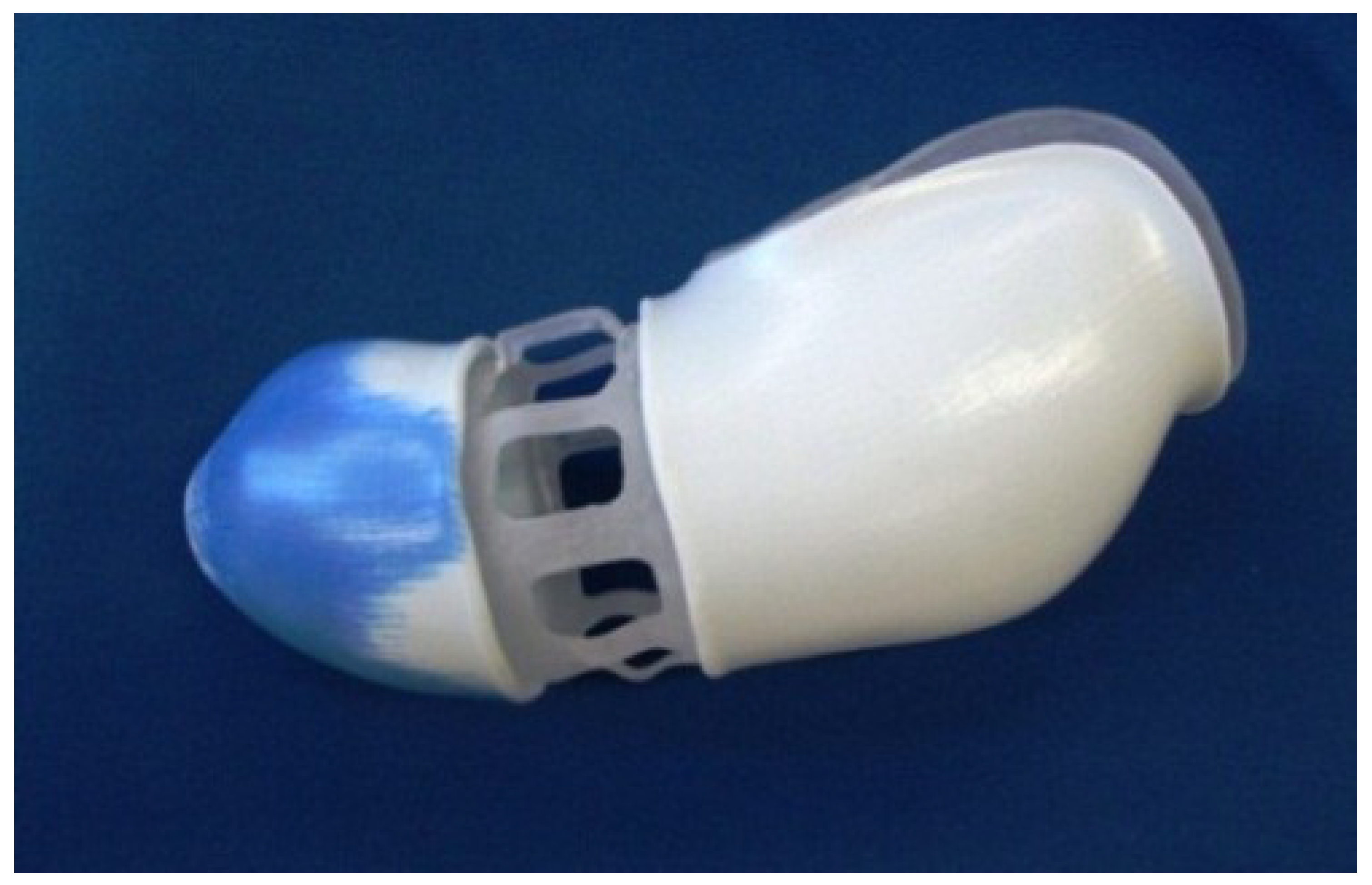 Prosthesis 07 00033 g001