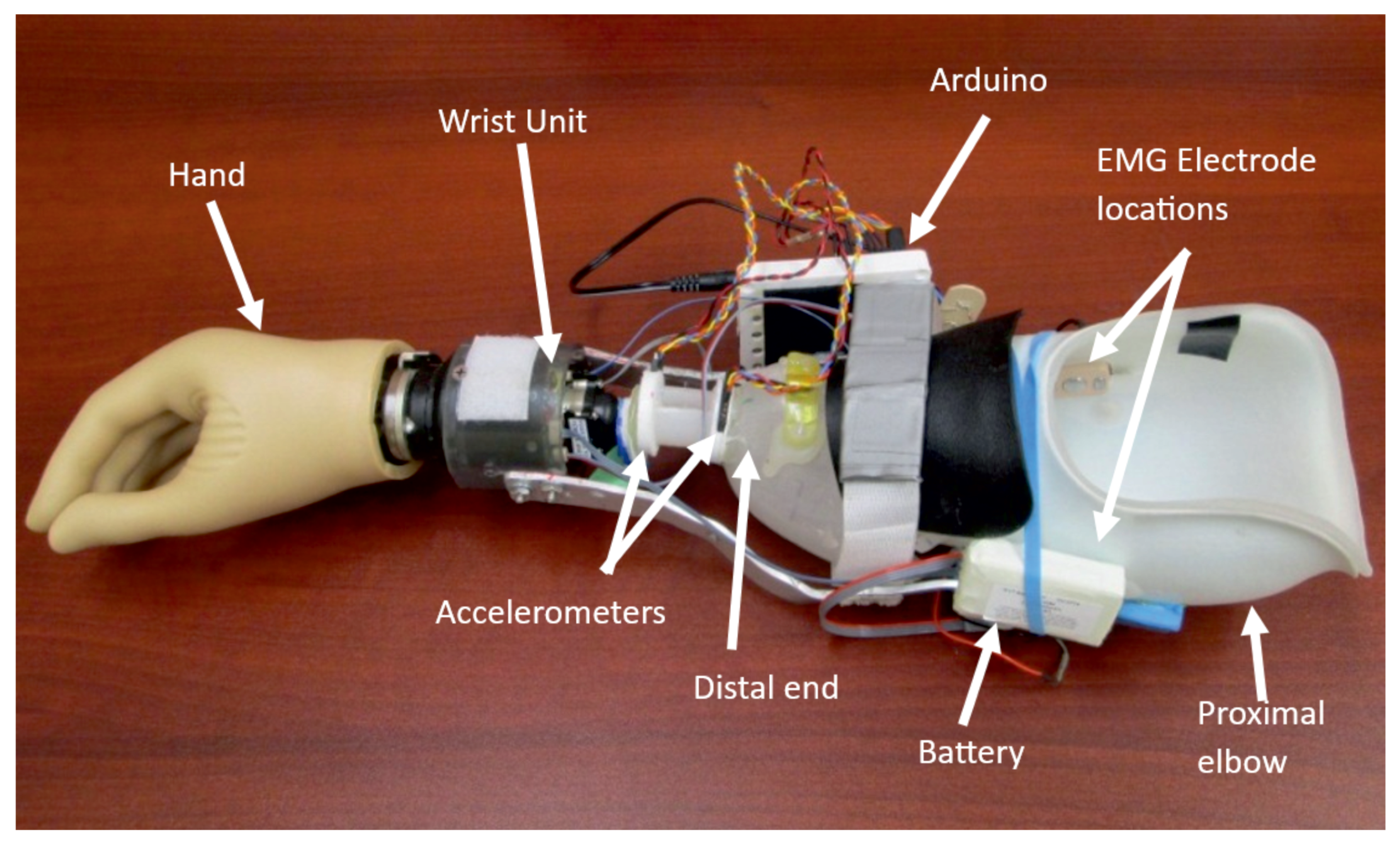 Prosthesis 07 00033 g002
