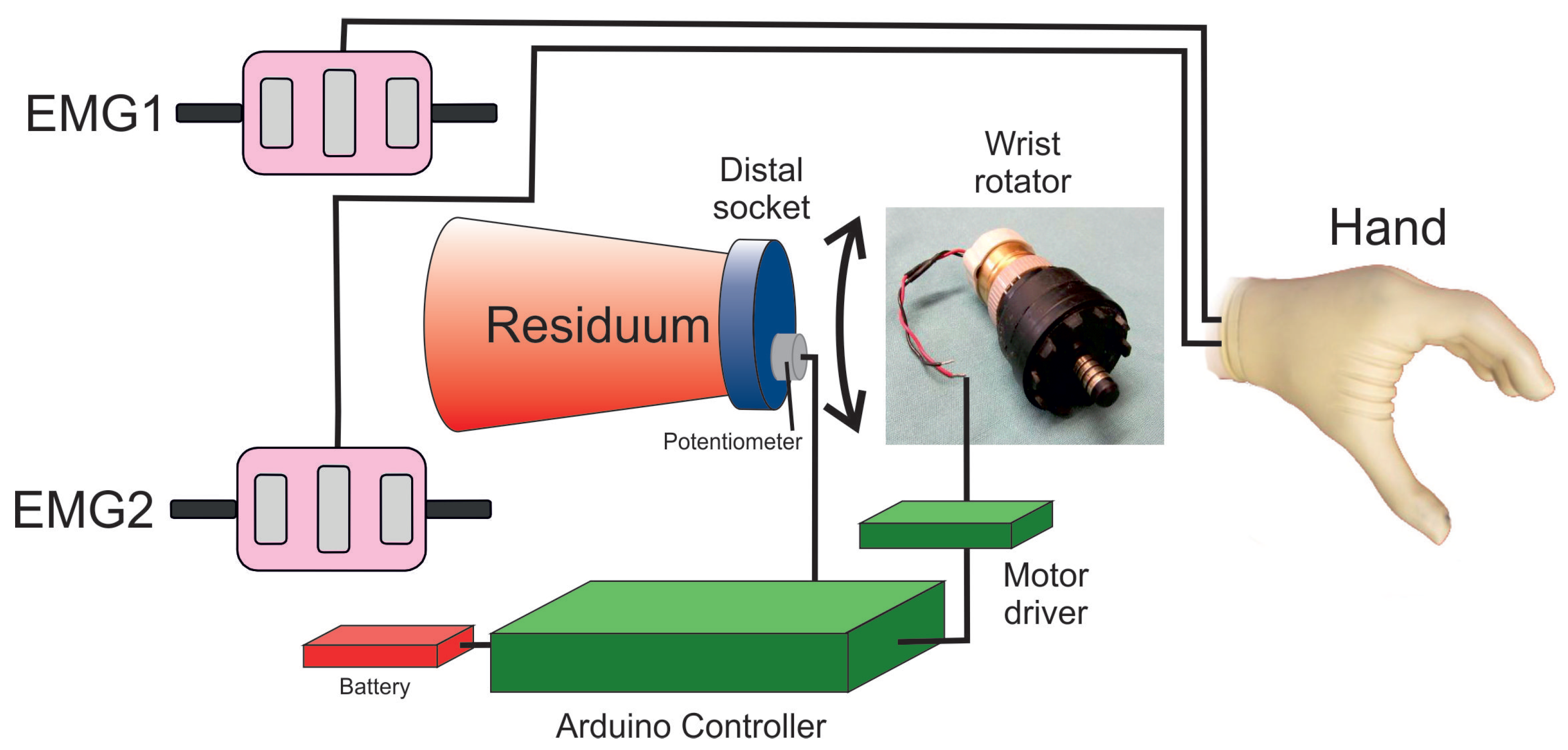 Prosthesis 07 00033 g005