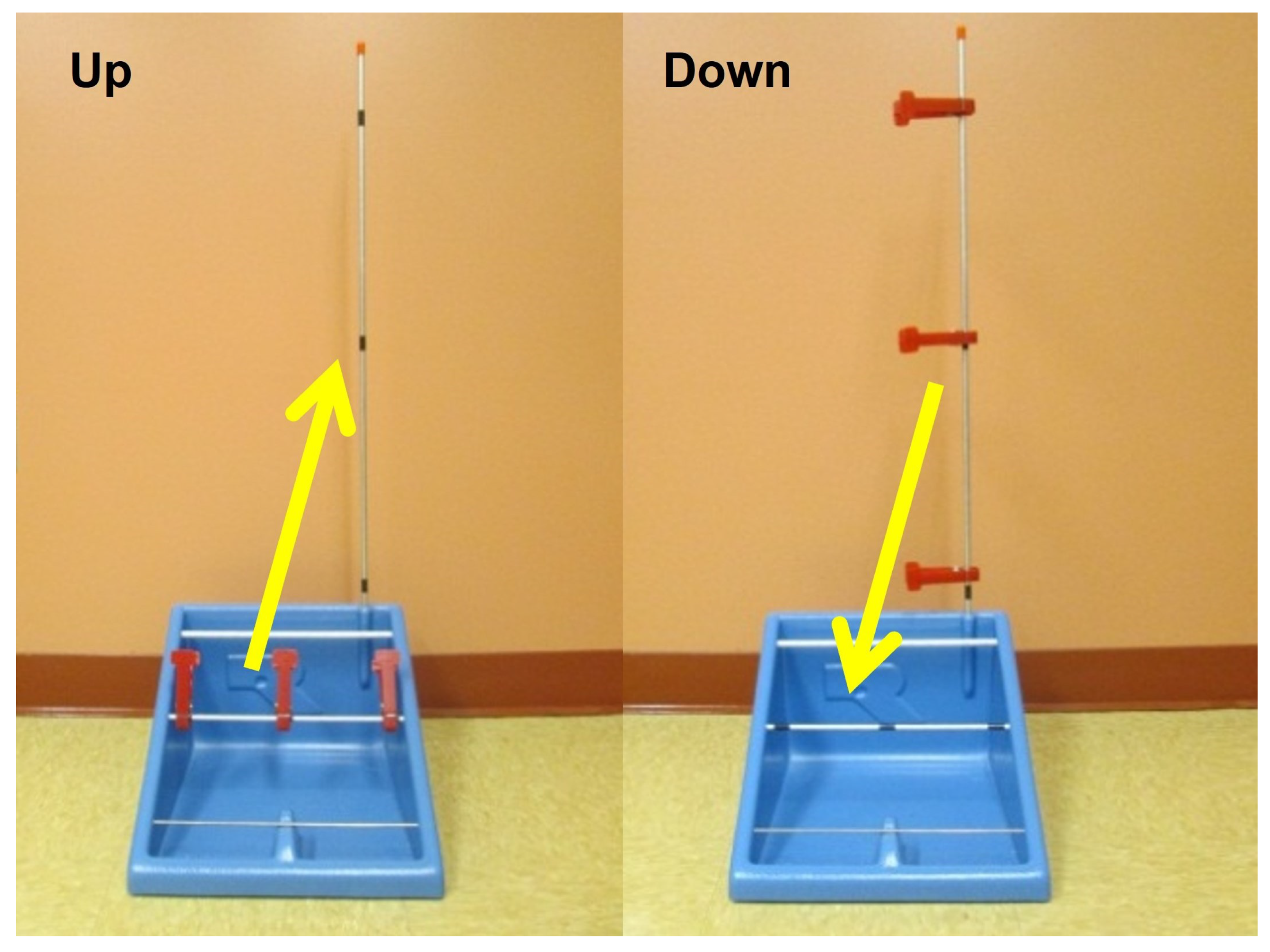 Prosthesis 07 00033 g007