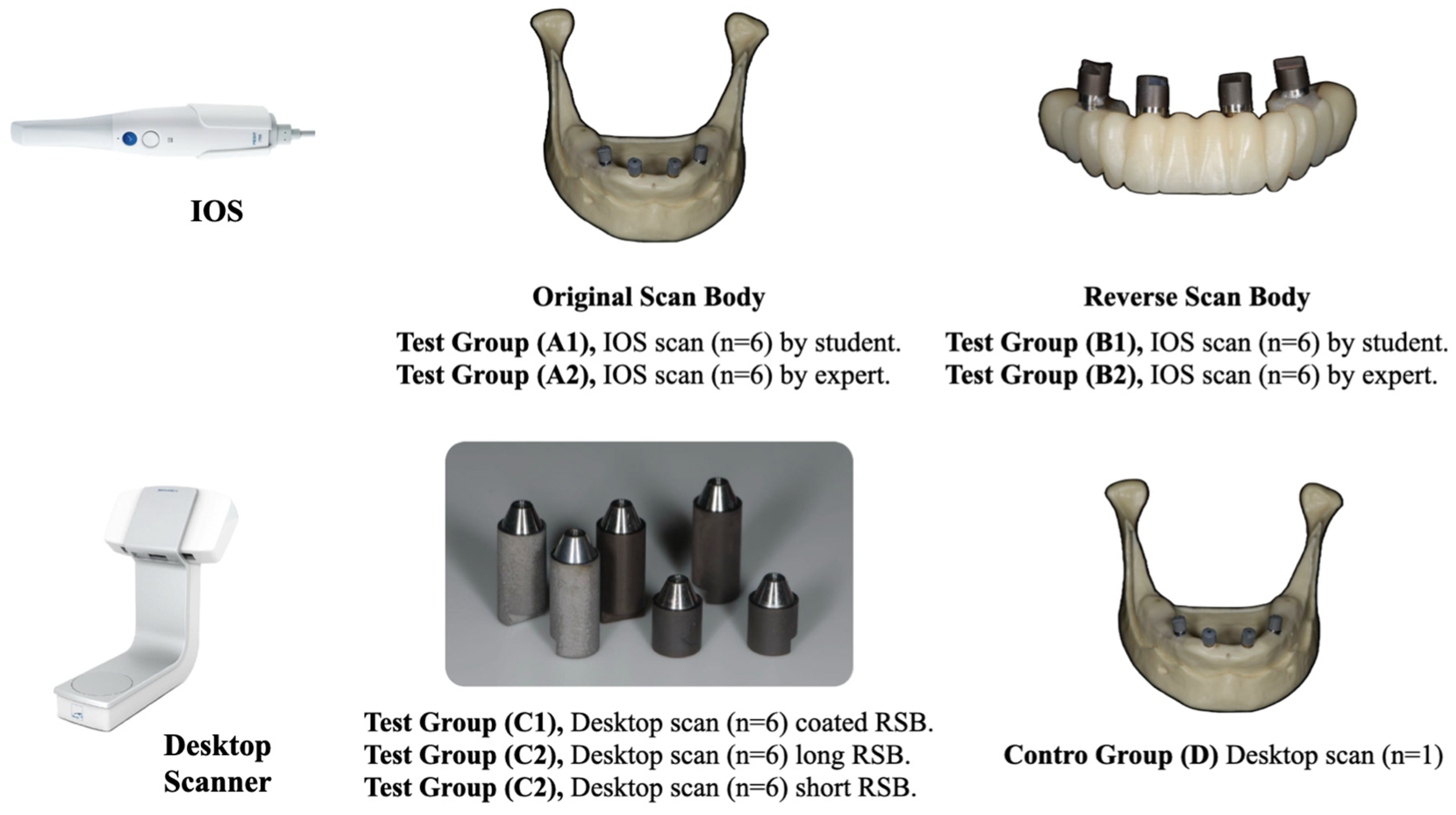 Prosthesis 07 00036 g001