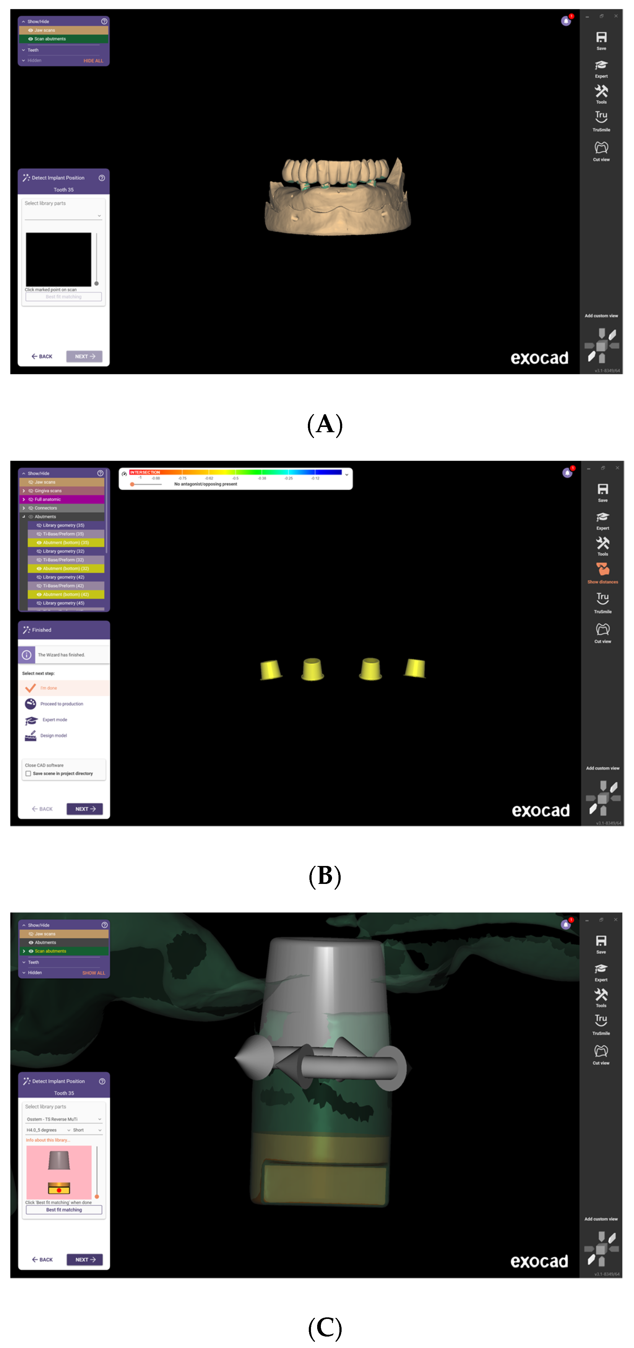 Prosthesis 07 00036 g002