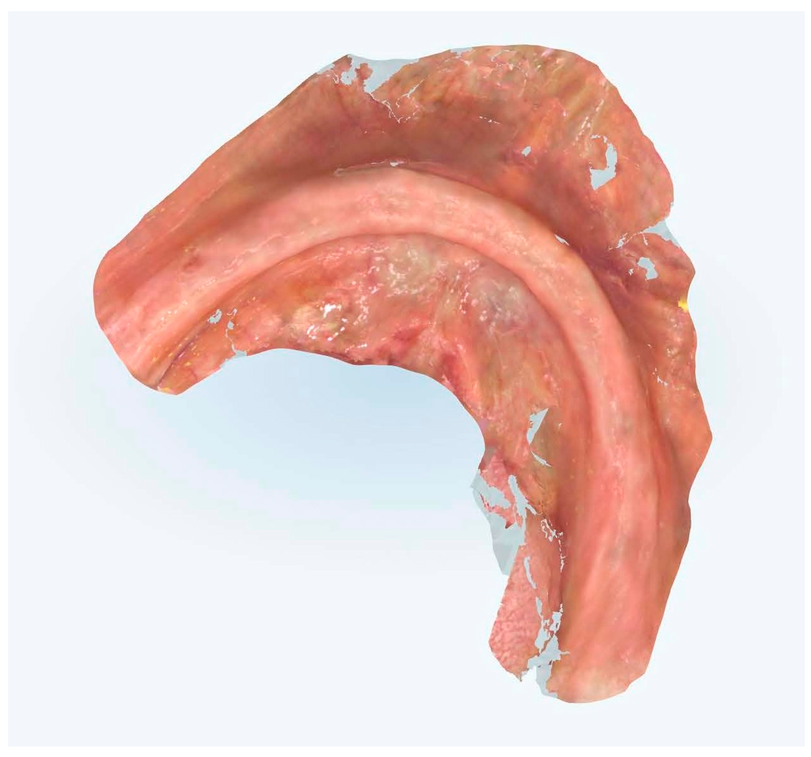 Prosthesis 07 00037 g008