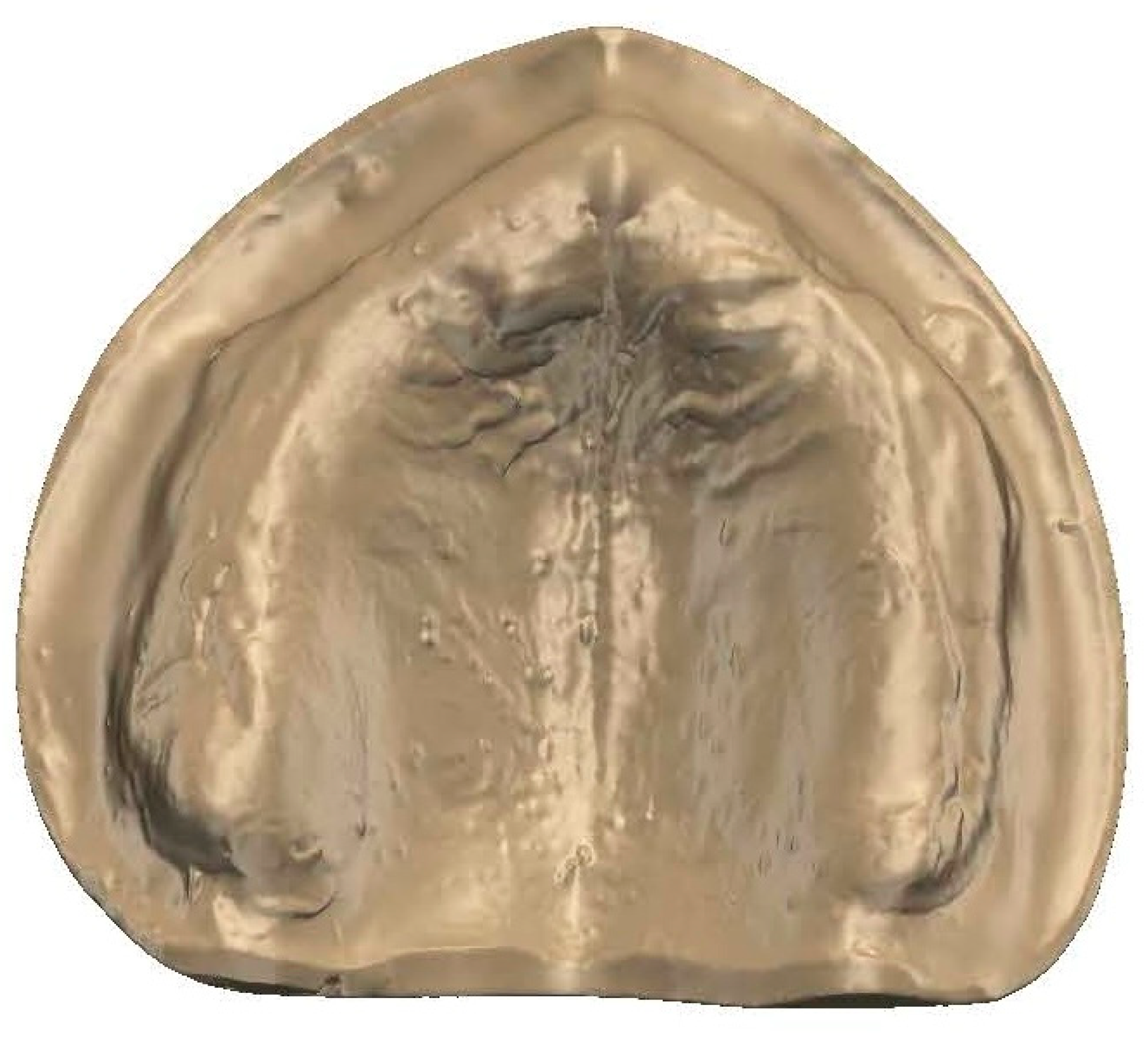 Prosthesis 07 00037 g011