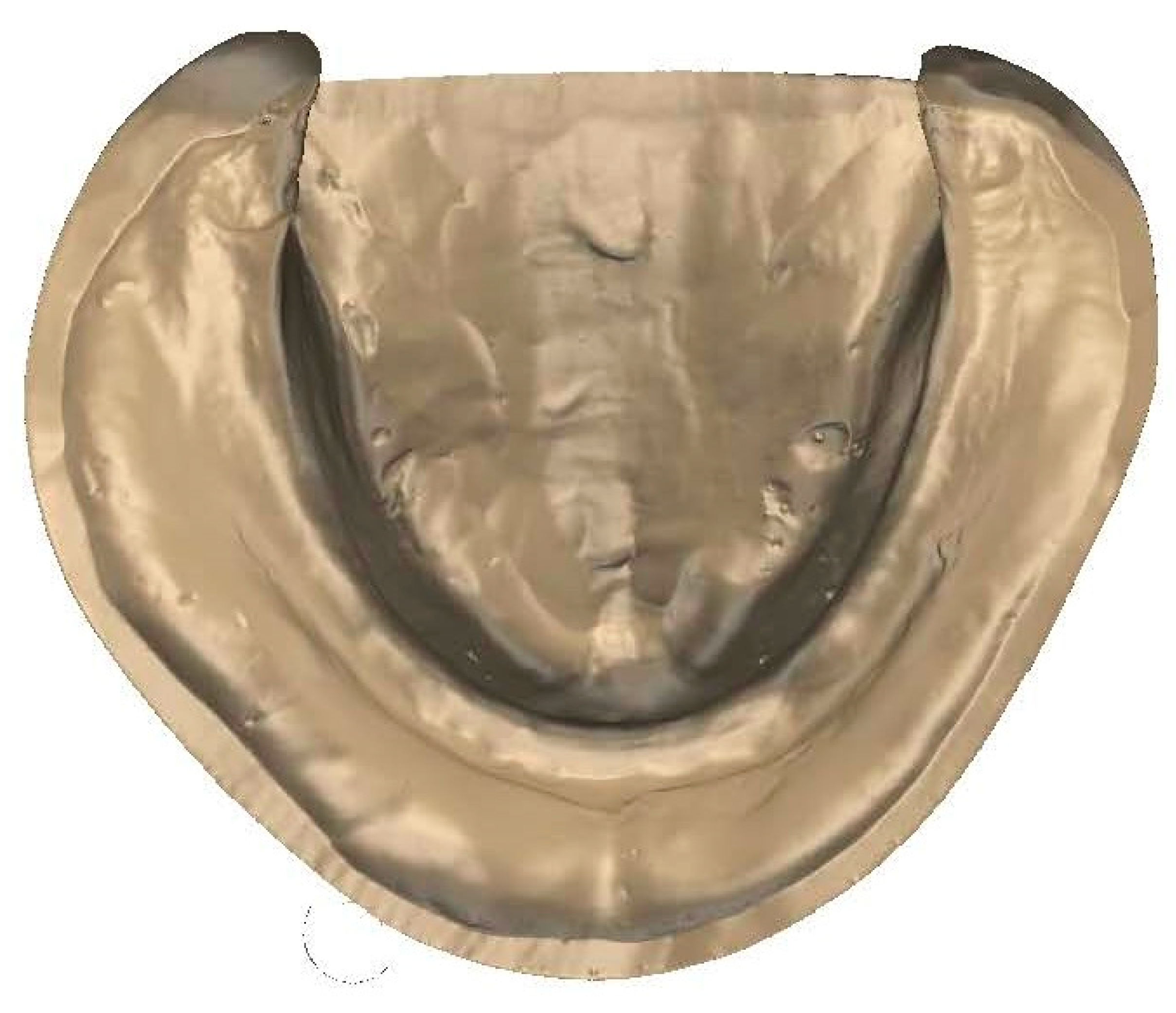 Prosthesis 07 00037 g012