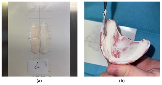 Prosthesis 07 00042 g006a