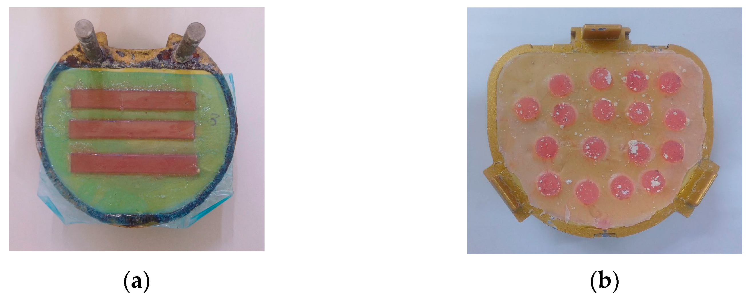 Prosthesis 07 00048 g002 Prosthesis 07 00048 g002