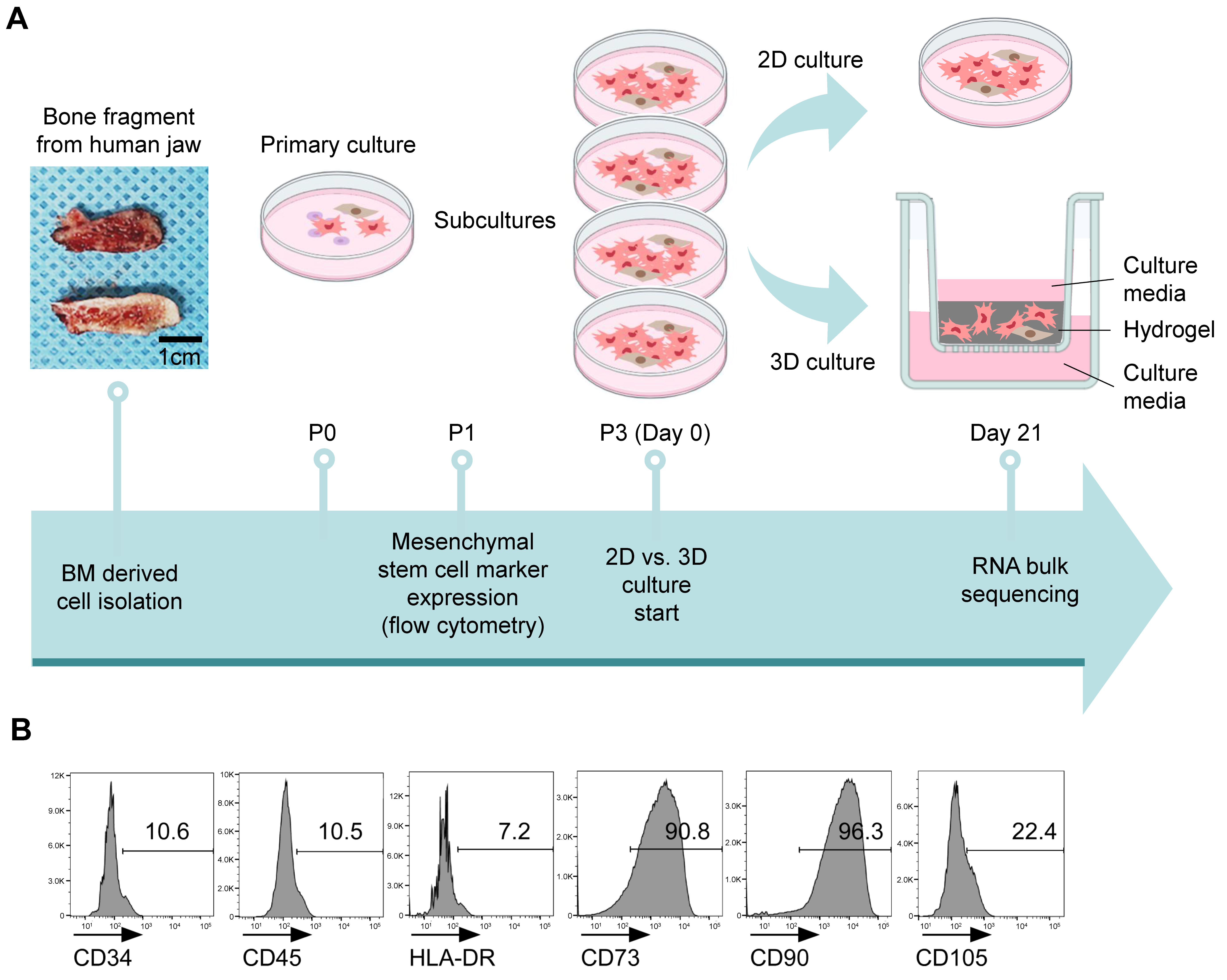 Prosthesis 07 00052 g001