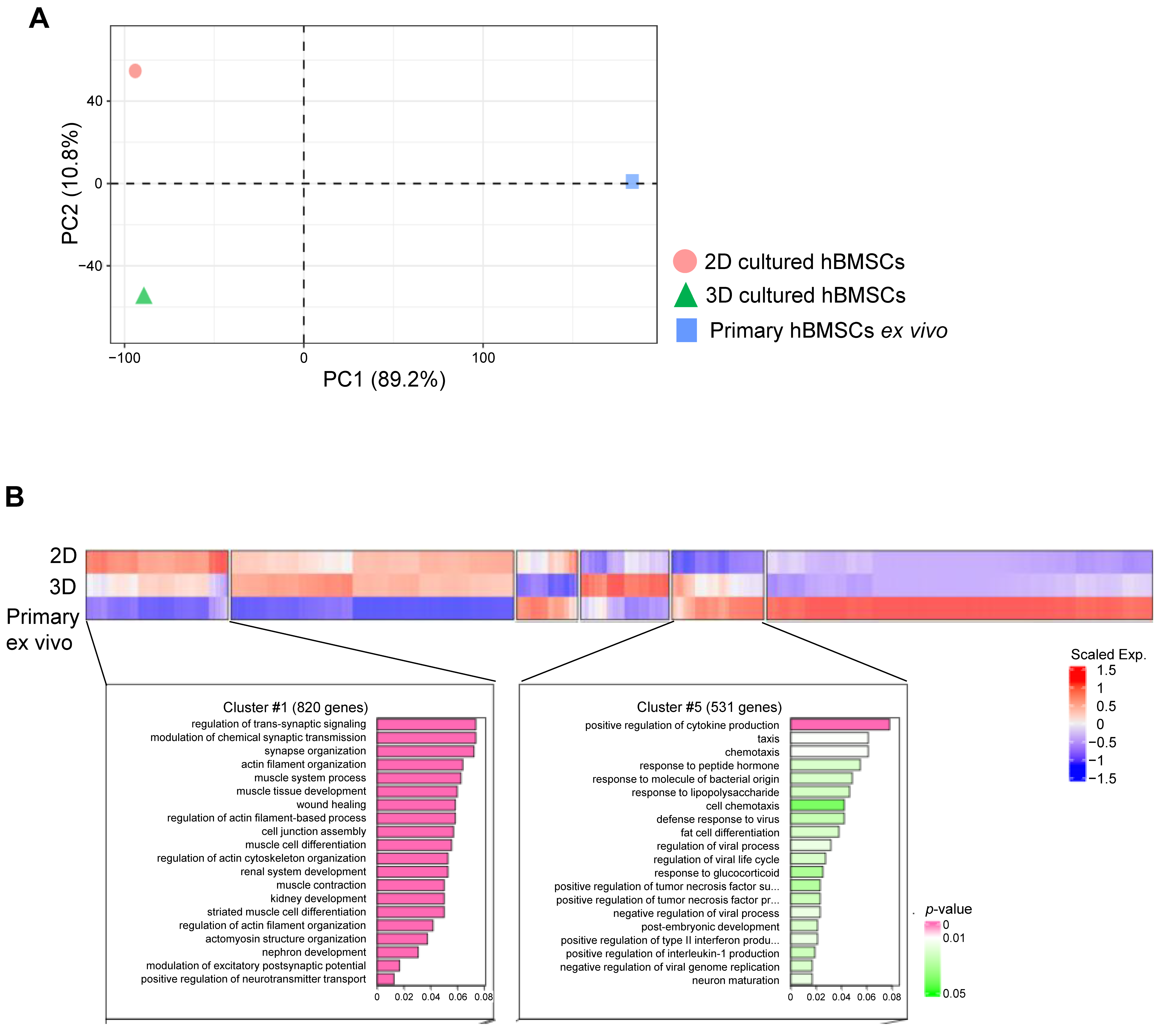 Prosthesis 07 00052 g005
