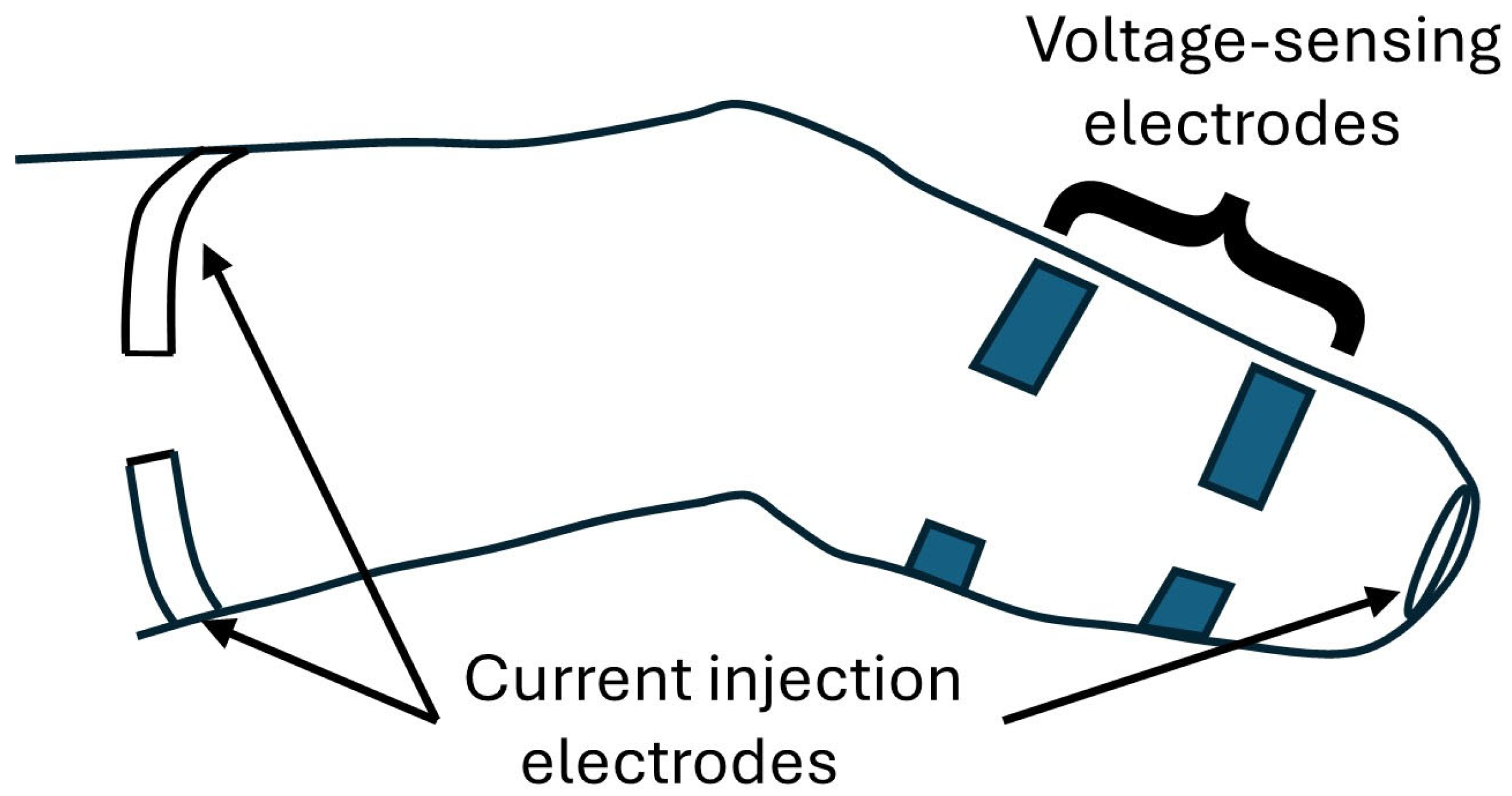 Prosthesis 07 00053 g001